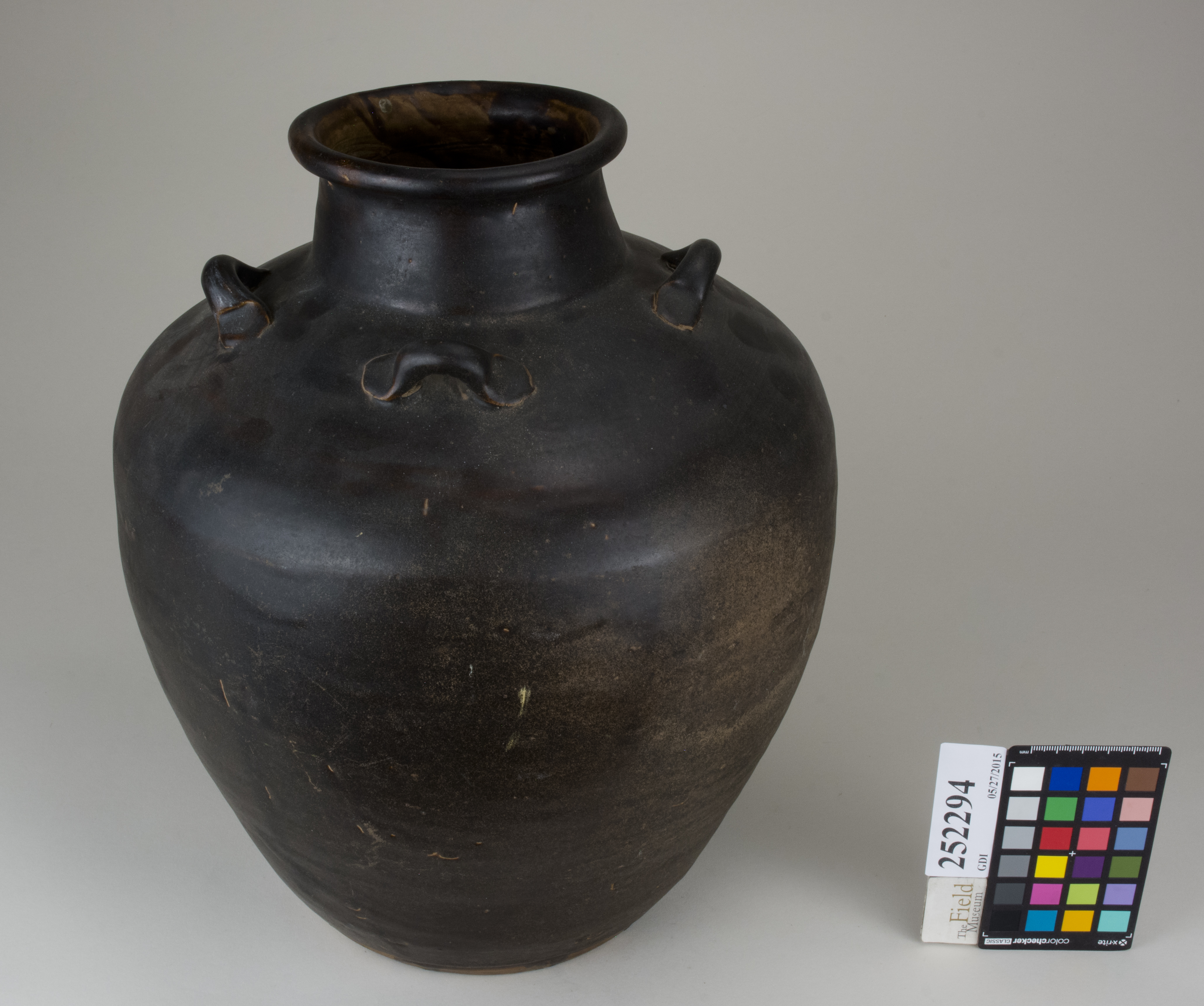 FrontAngle (c) Field Museum of Natural History - CC BY-NC 4.0