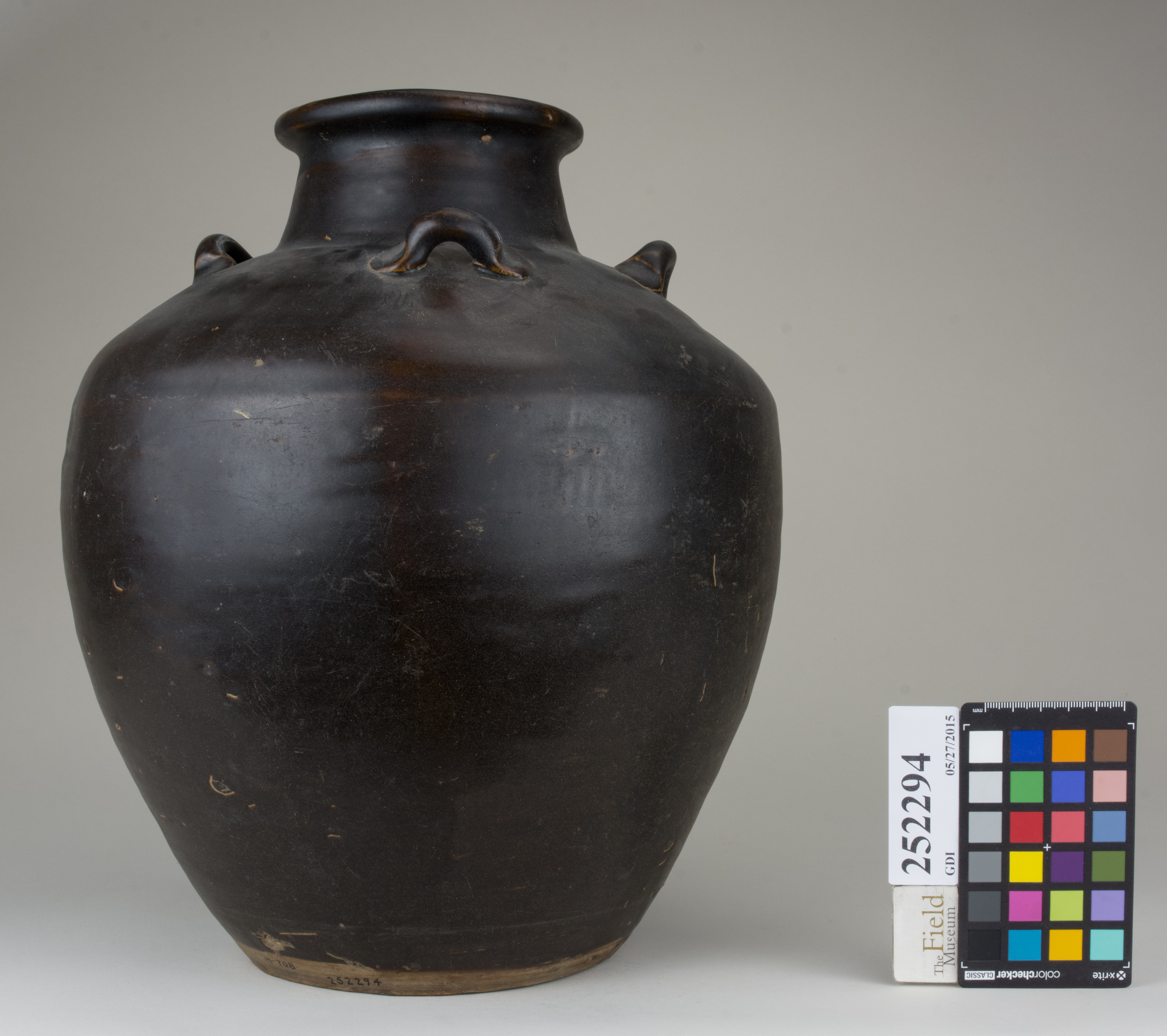 Right (c) Field Museum of Natural History - CC BY-NC 4.0