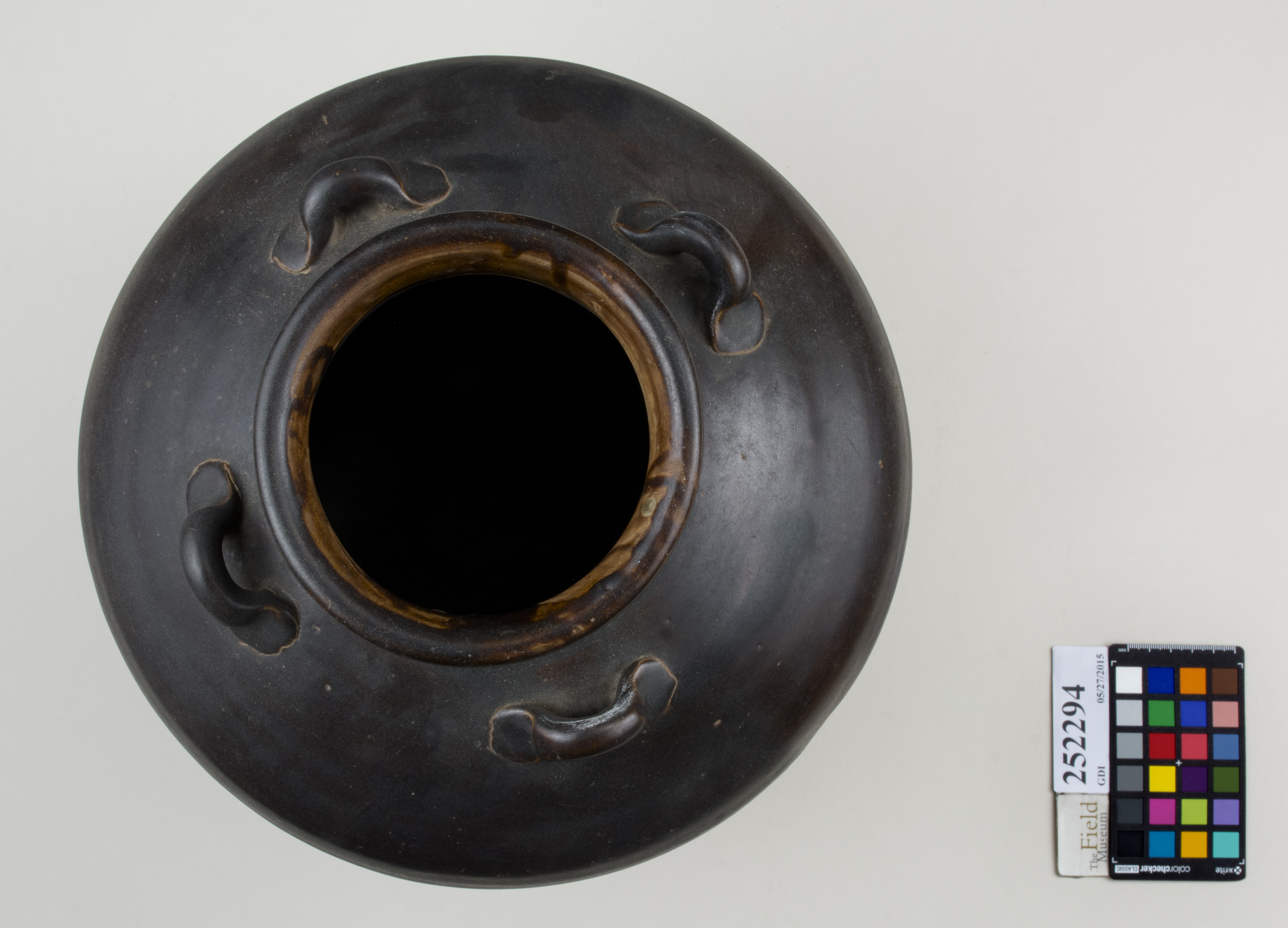 Top (c) Field Museum of Natural History - CC BY-NC 4.0