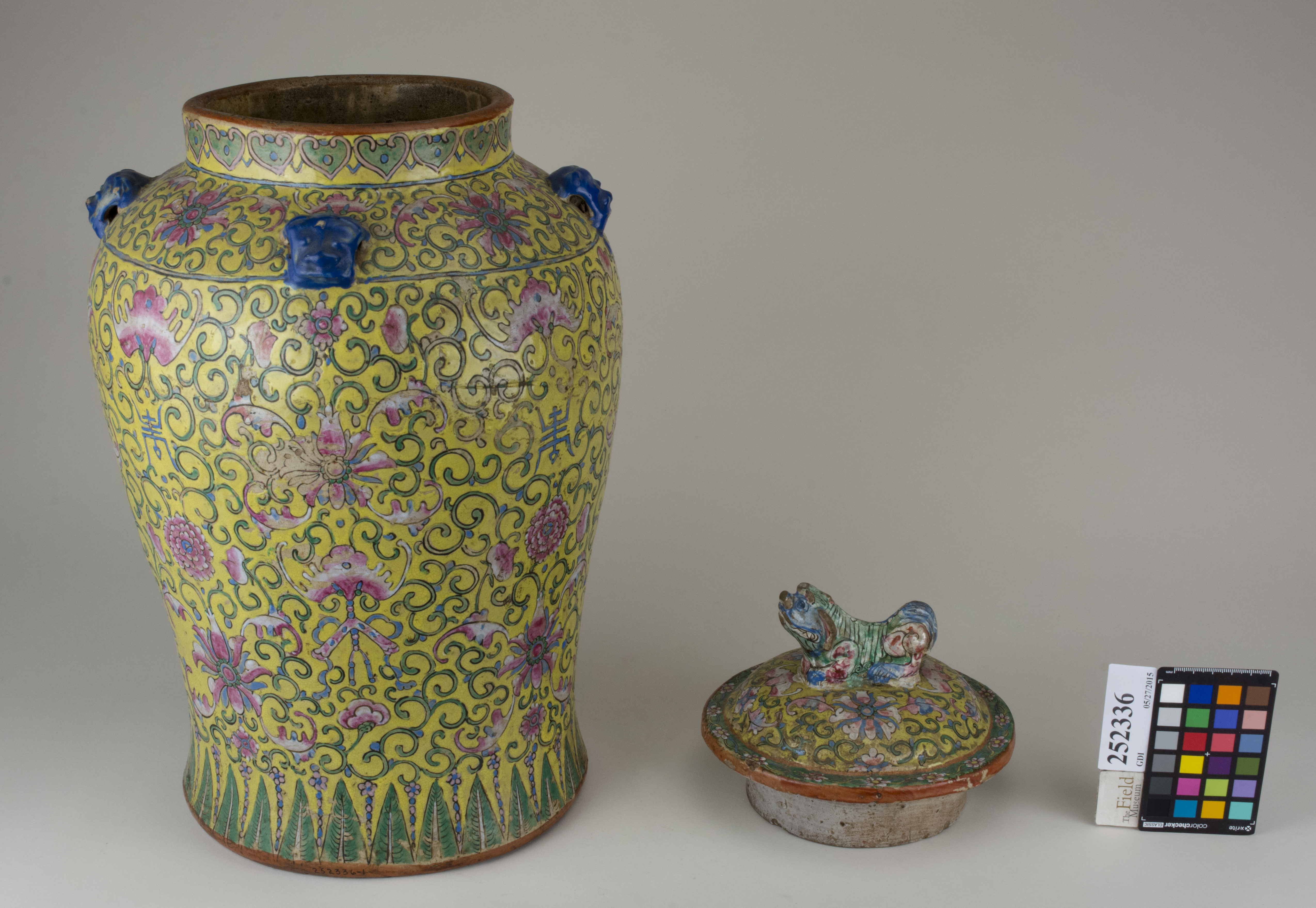 ParentFrontAngle (c) Field Museum of Natural History - CC BY-NC 4.0