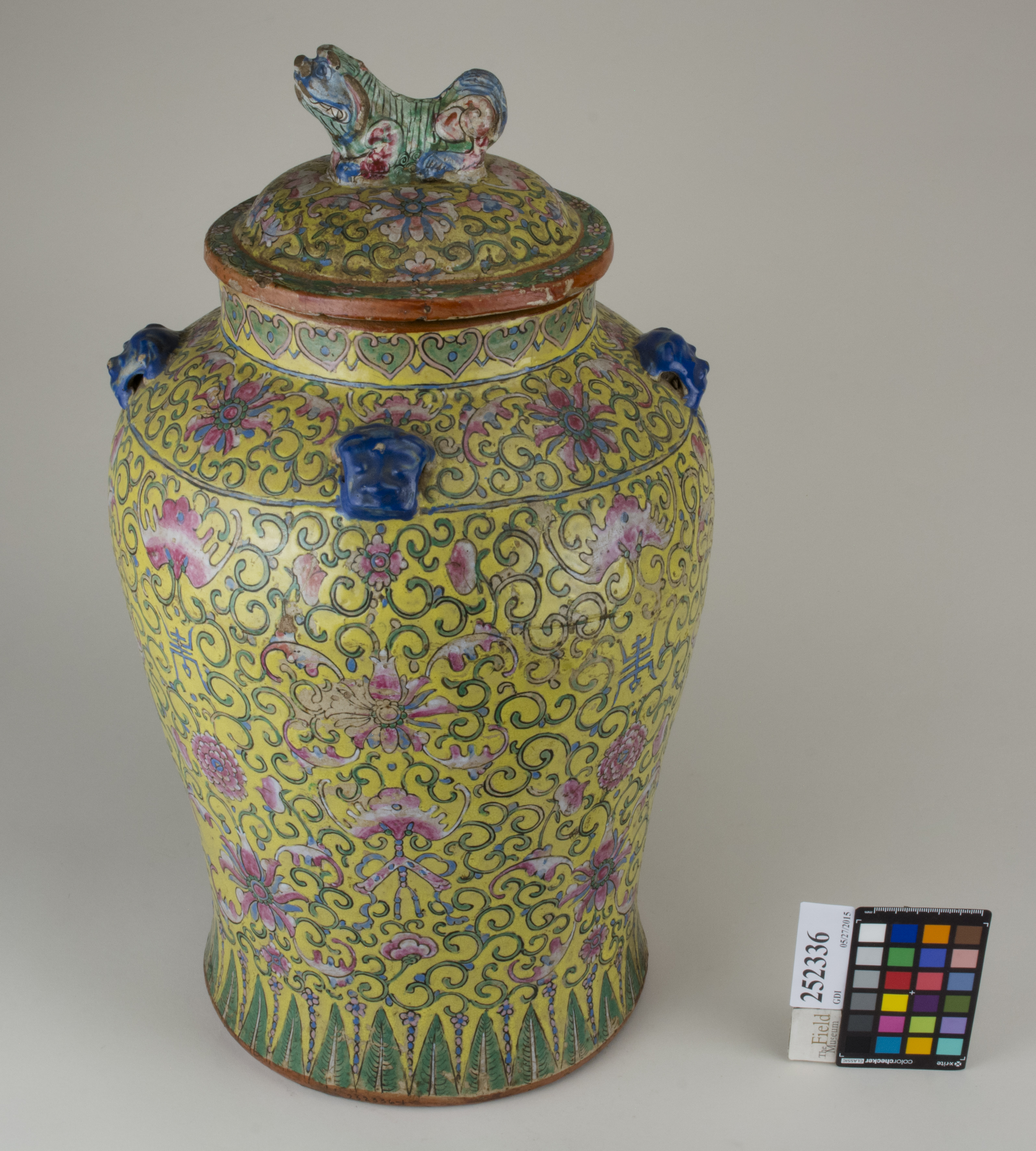 ParentFrontAngleParent (c) Field Museum of Natural History - CC BY-NC 4.0