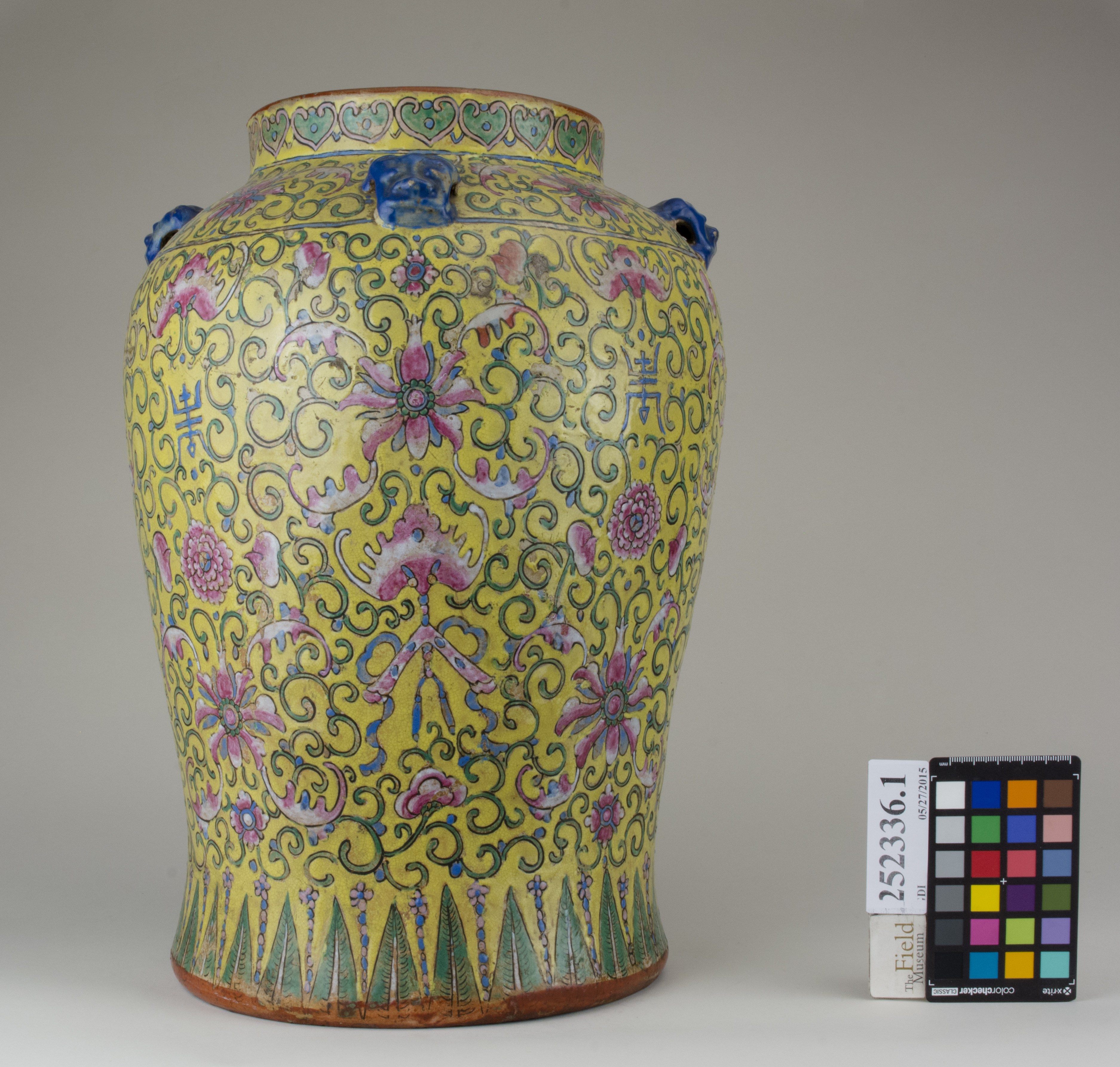 reference image, back (c) Field Museum of Natural History - CC BY-NC 4.0