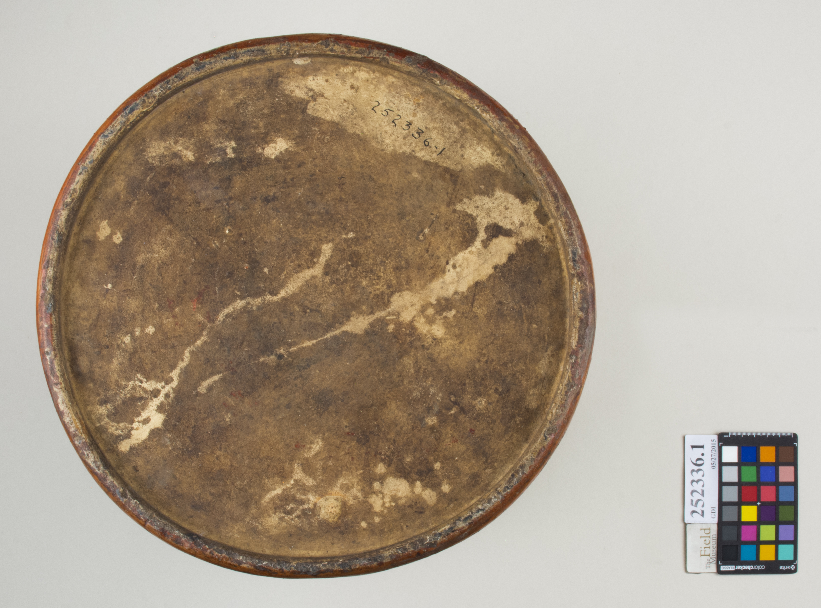 Bottom (c) Field Museum of Natural History - CC BY-NC 4.0