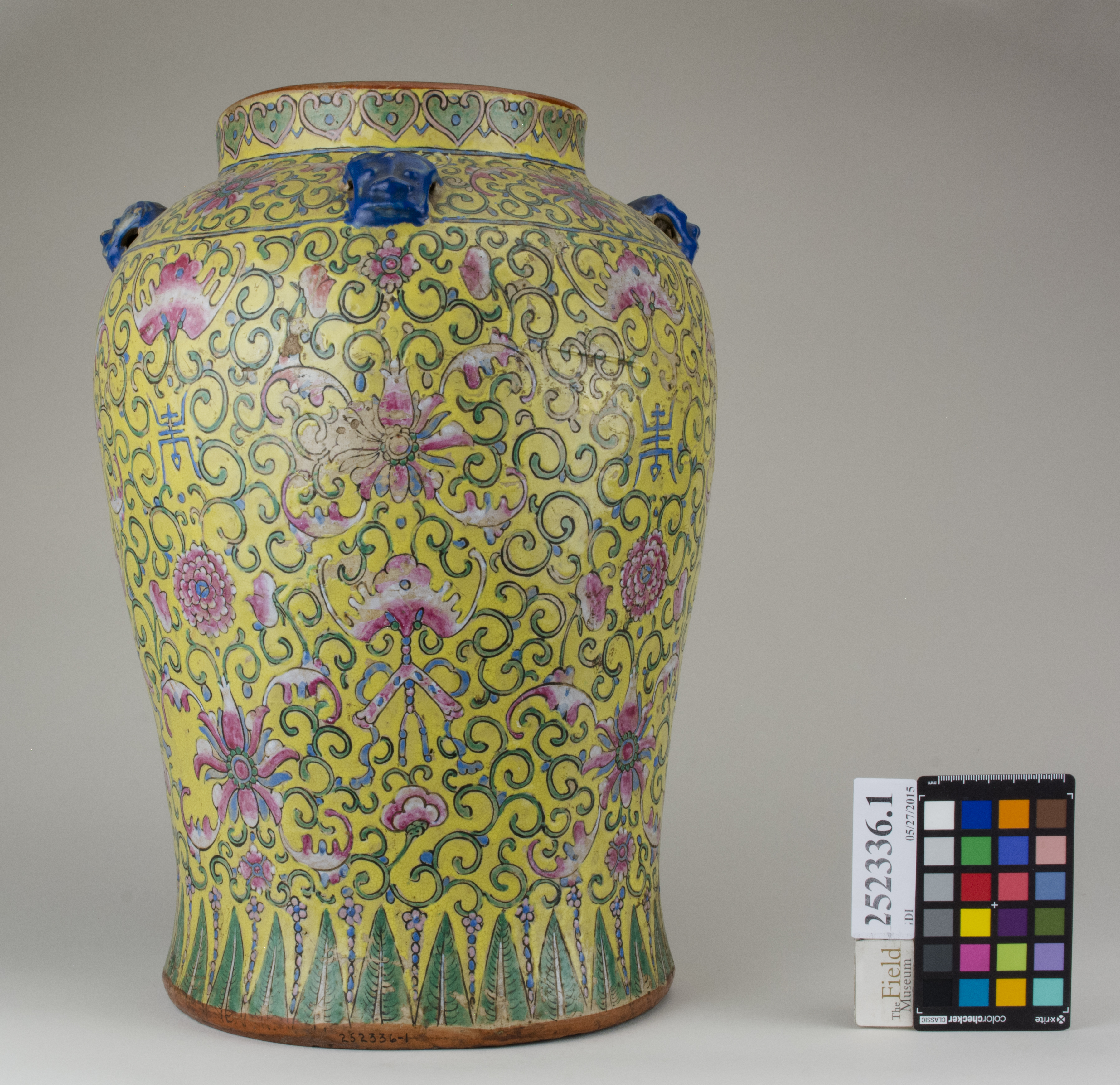 Front (c) Field Museum of Natural History - CC BY-NC 4.0