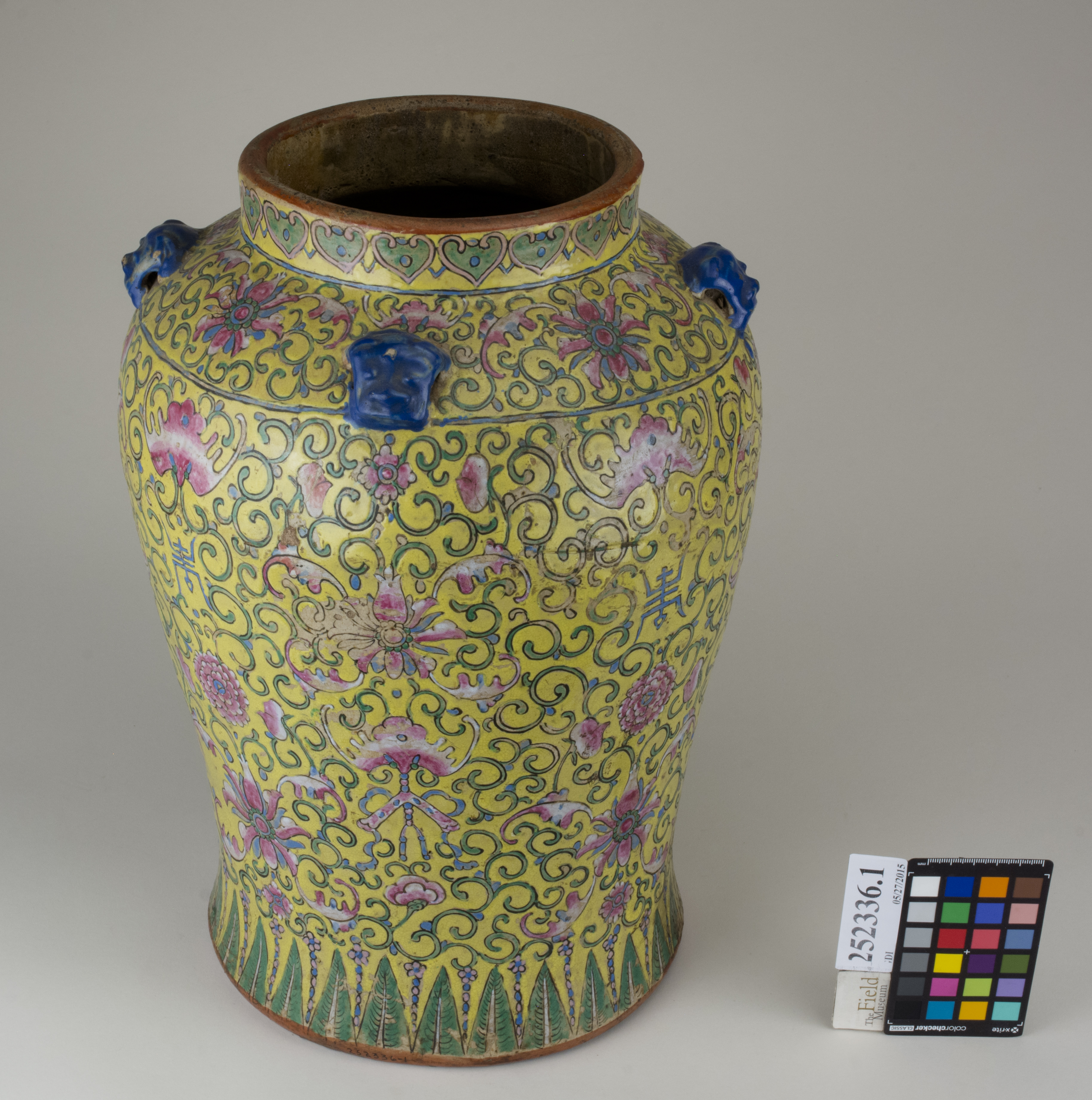 FrontAngle (c) Field Museum of Natural History - CC BY-NC 4.0