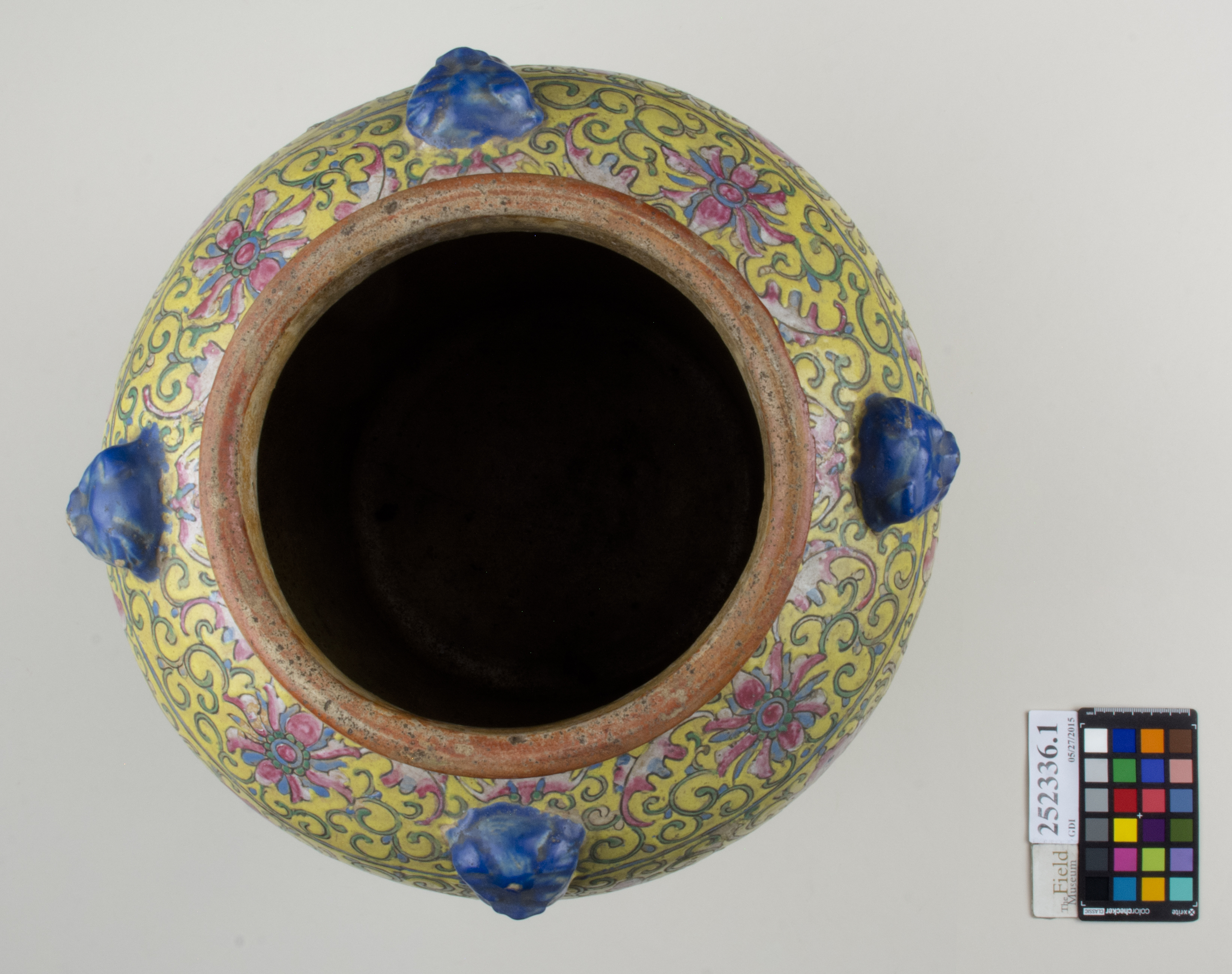 Top (c) Field Museum of Natural History - CC BY-NC 4.0