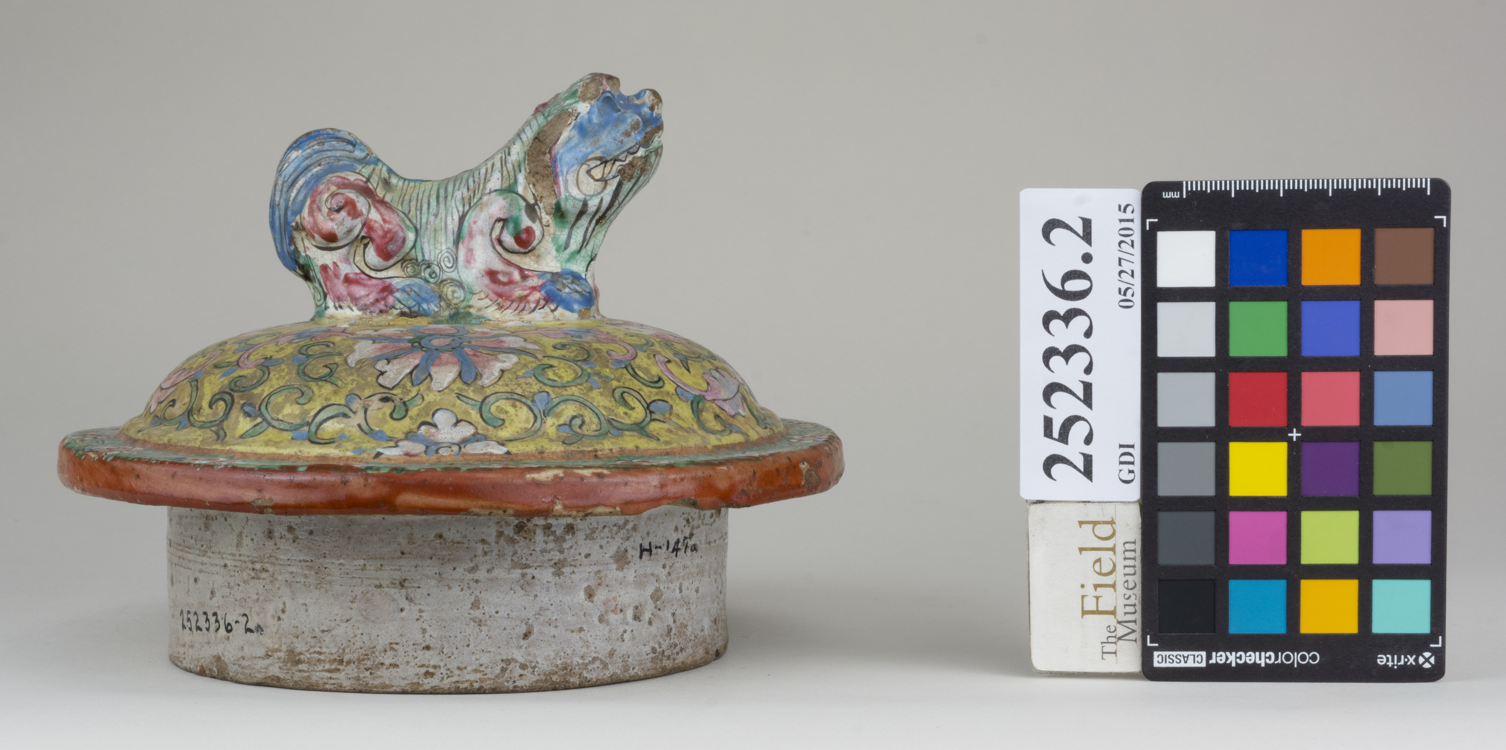 Front (c) Field Museum of Natural History - CC BY-NC 4.0