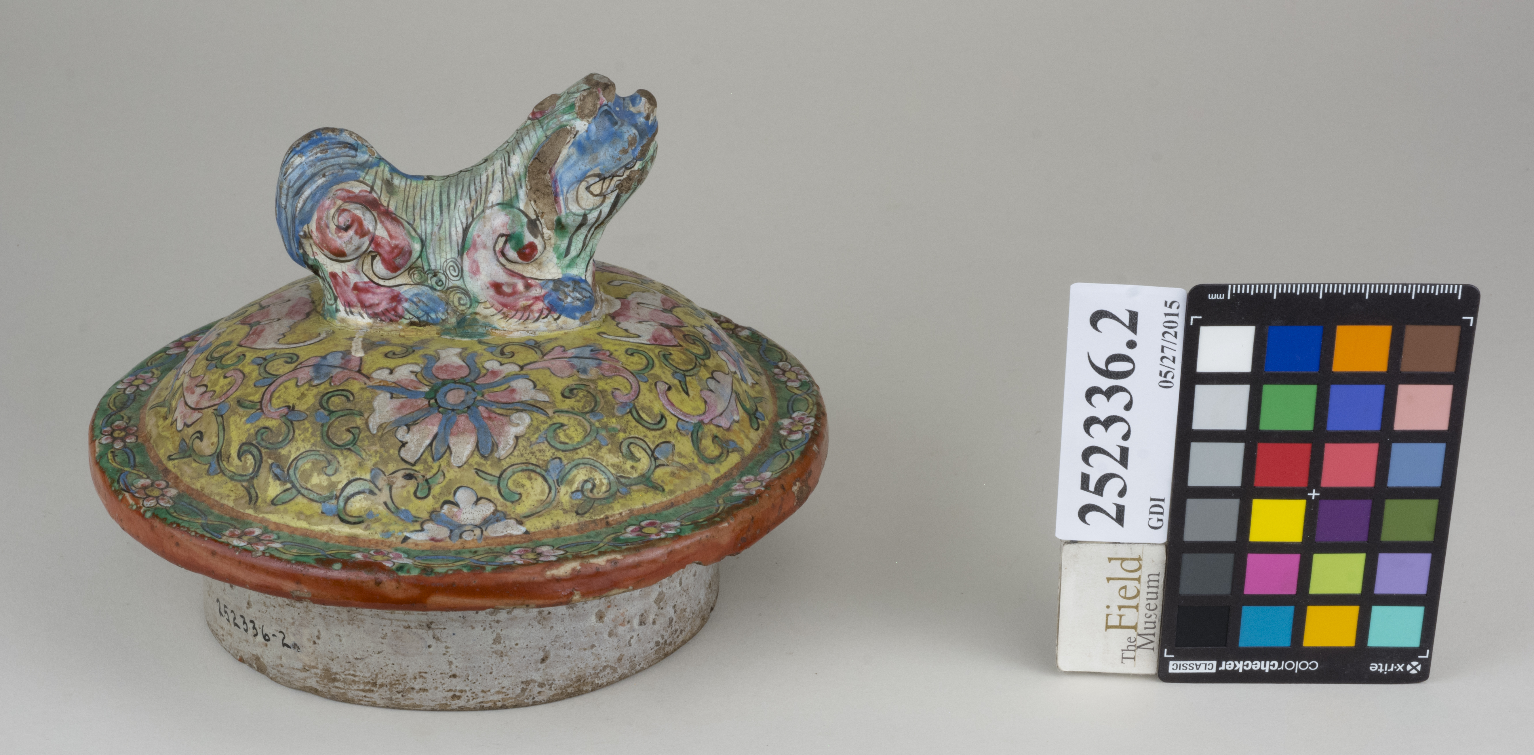 FrontAngle (c) Field Museum of Natural History - CC BY-NC 4.0