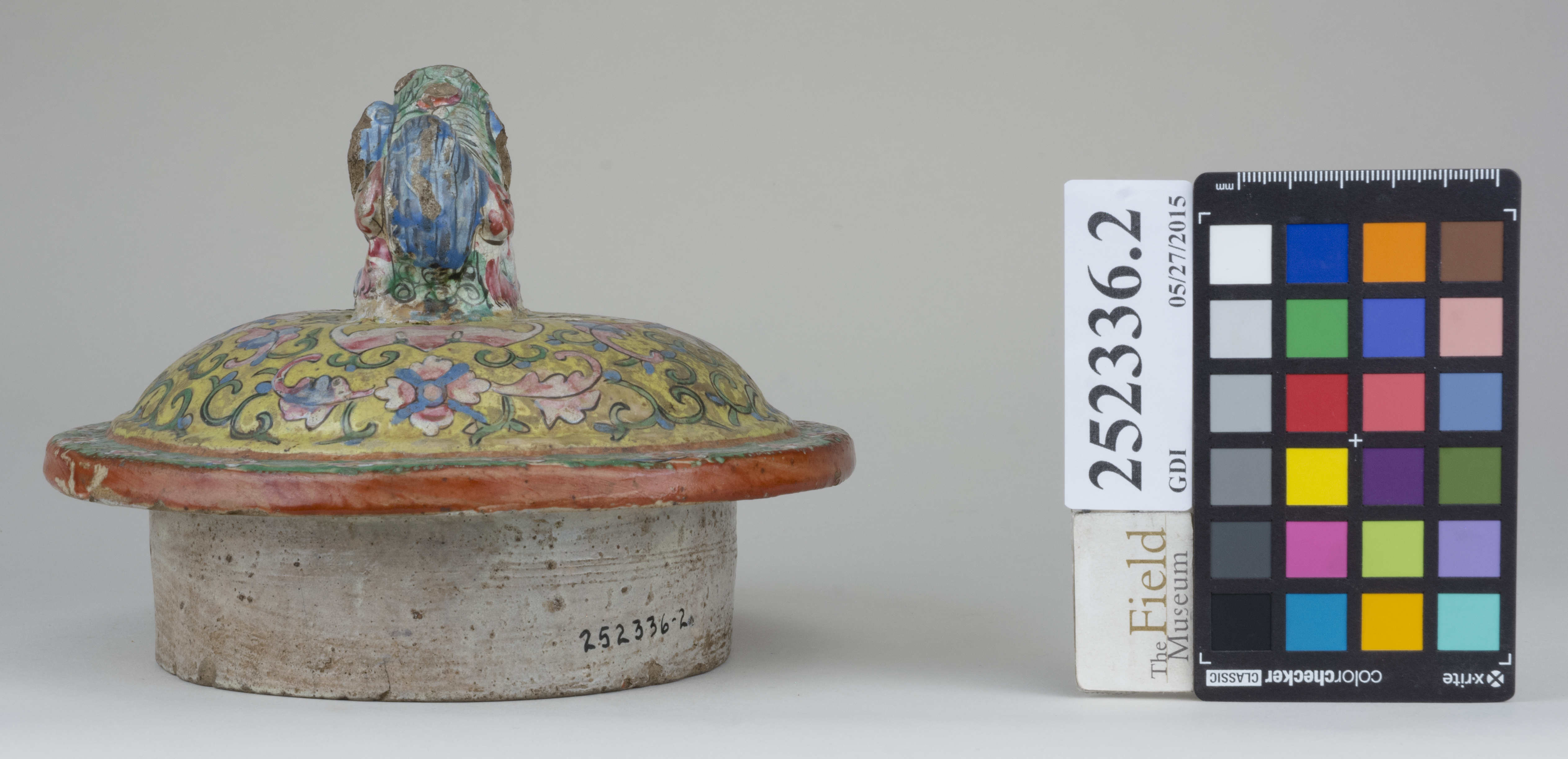 Right (c) Field Museum of Natural History - CC BY-NC 4.0