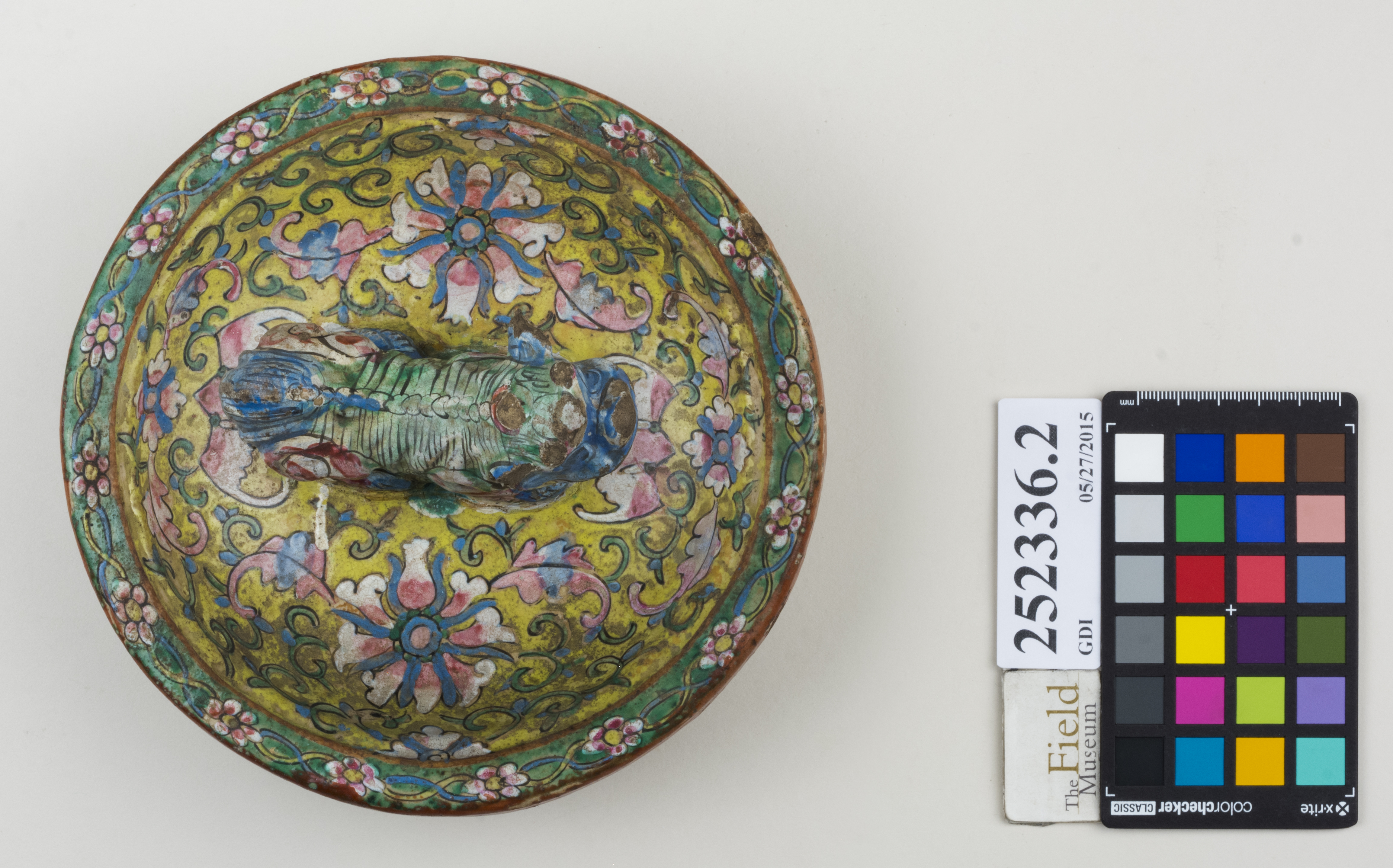 Top (c) Field Museum of Natural History - CC BY-NC 4.0