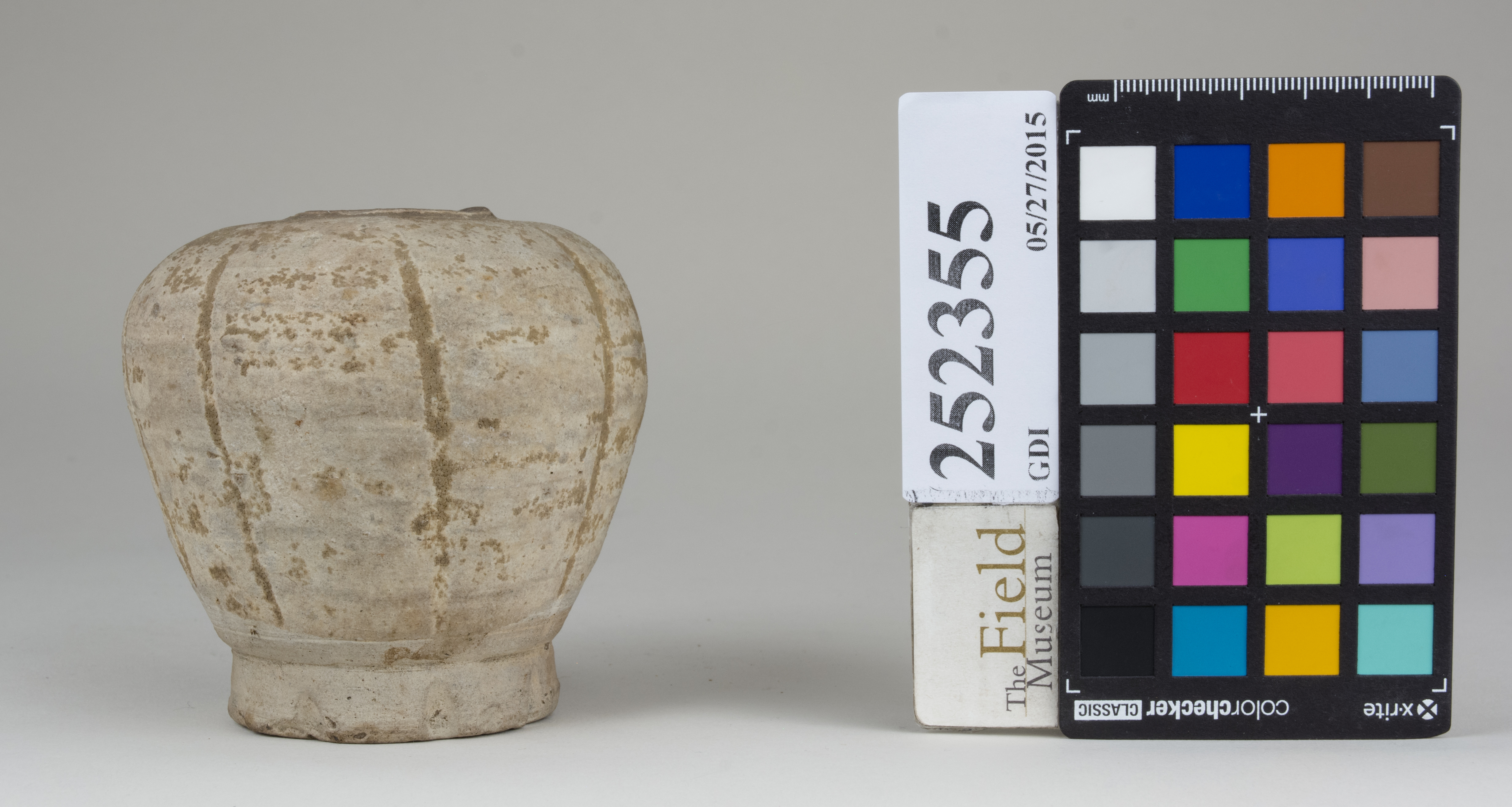 reference image, back (c) Field Museum of Natural History - CC BY-NC 4.0