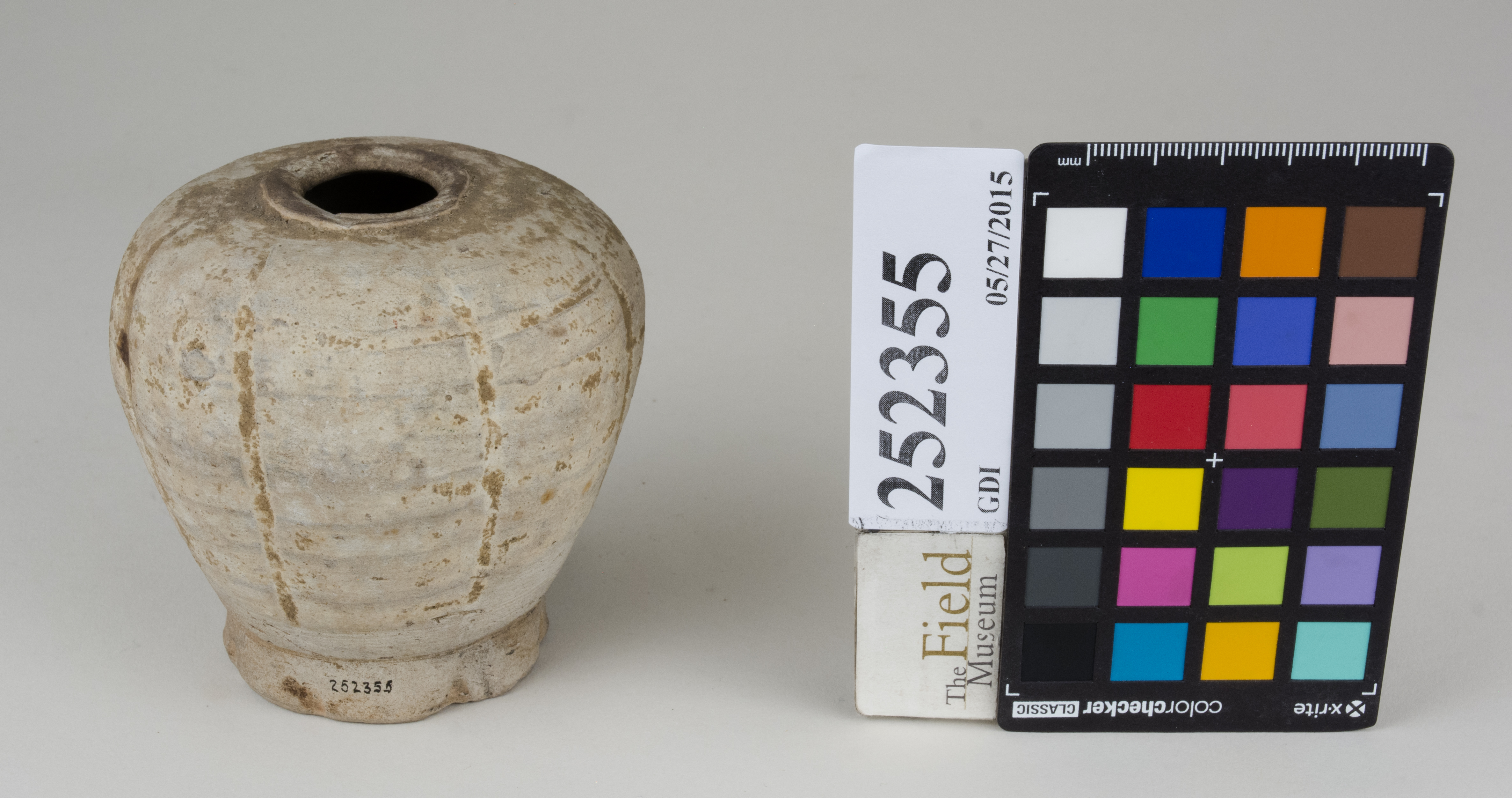 FrontAngle (c) Field Museum of Natural History - CC BY-NC 4.0