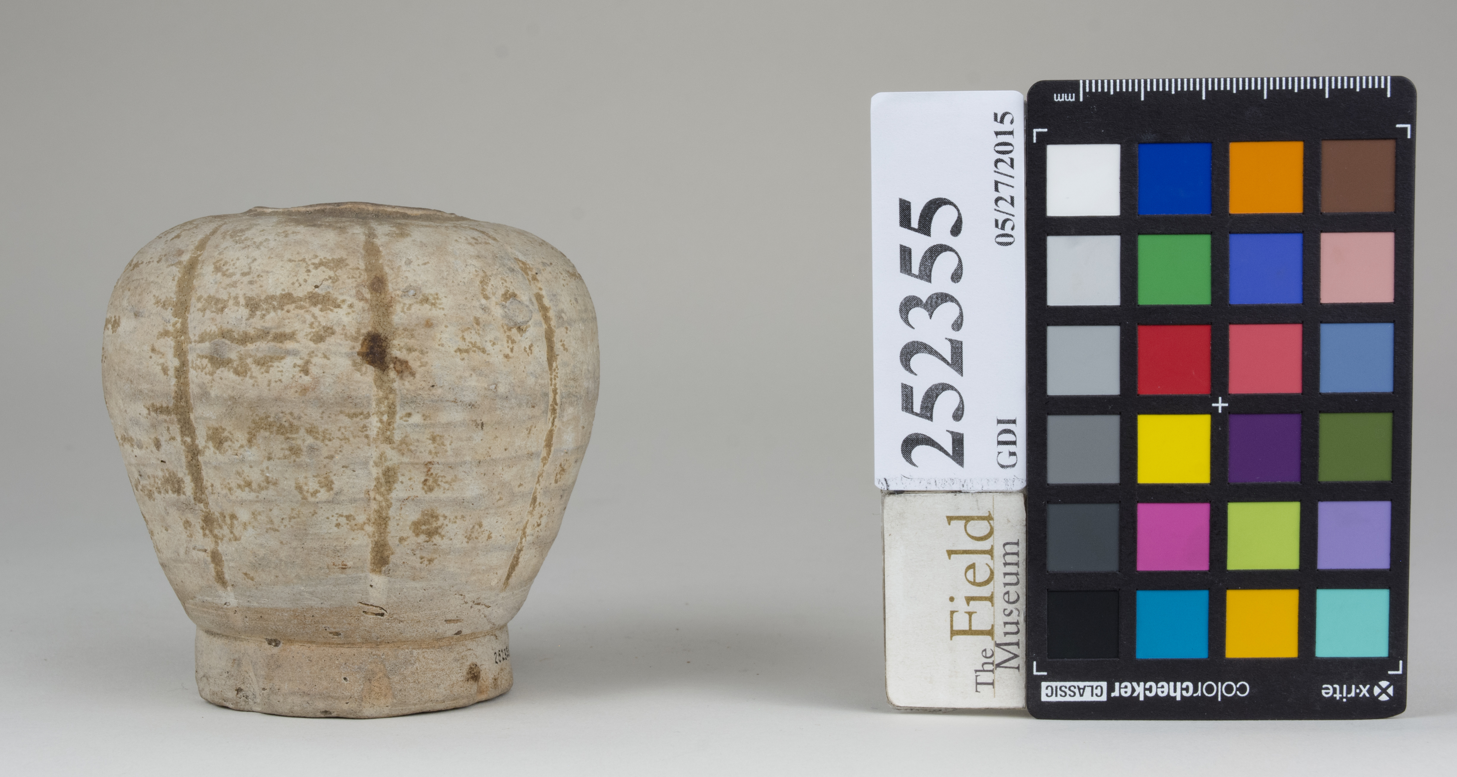 Right (c) Field Museum of Natural History - CC BY-NC 4.0