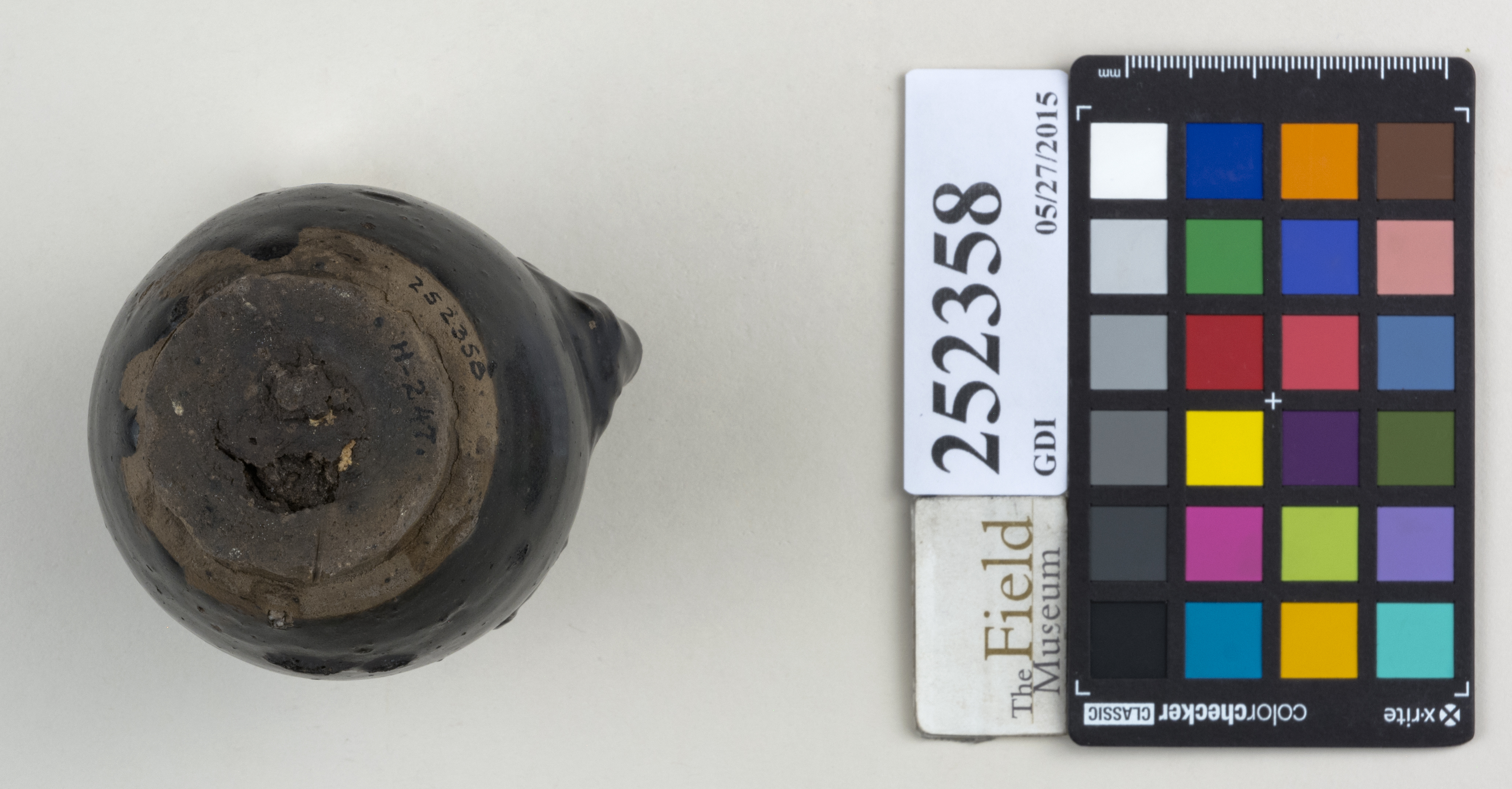 Bottom (c) Field Museum of Natural History - CC BY-NC 4.0