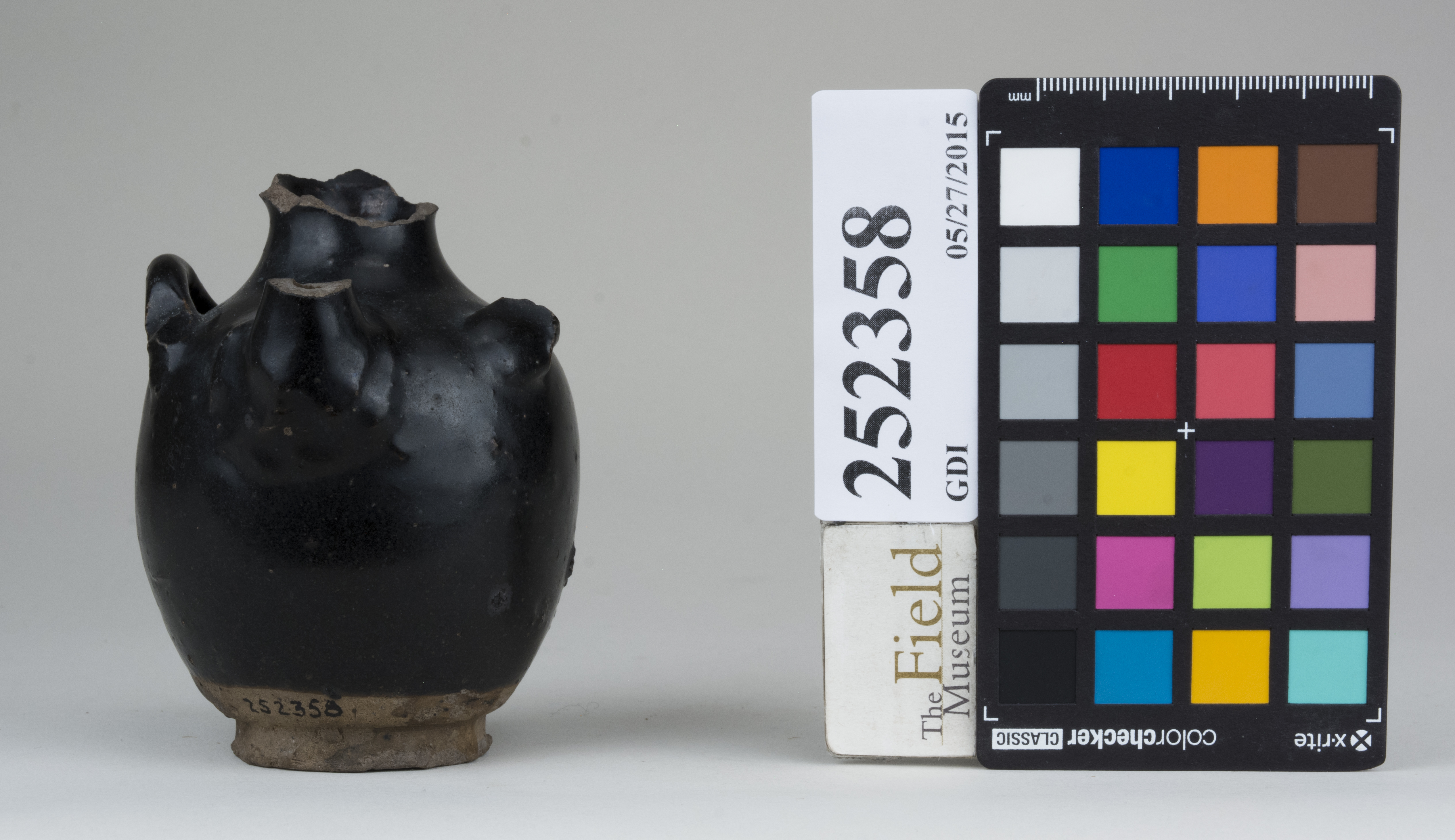 Front (c) Field Museum of Natural History - CC BY-NC 4.0