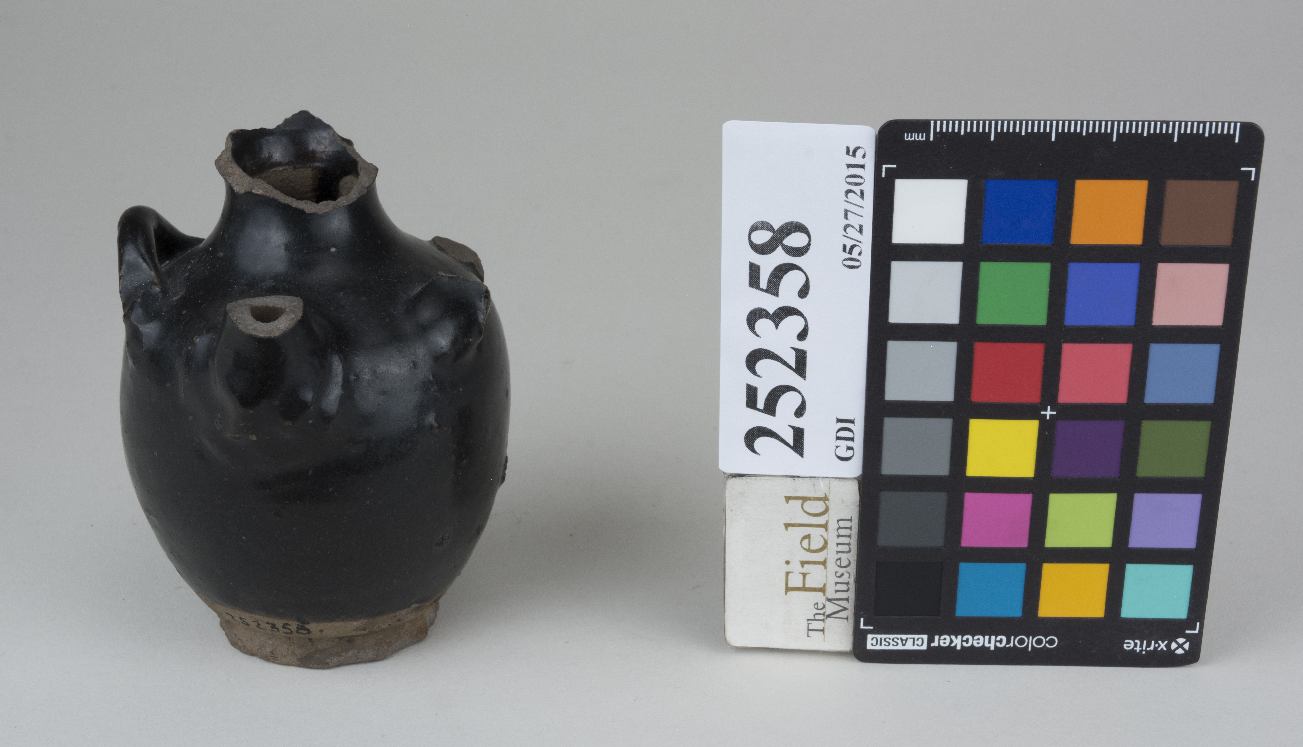 FrontAngle (c) Field Museum of Natural History - CC BY-NC 4.0