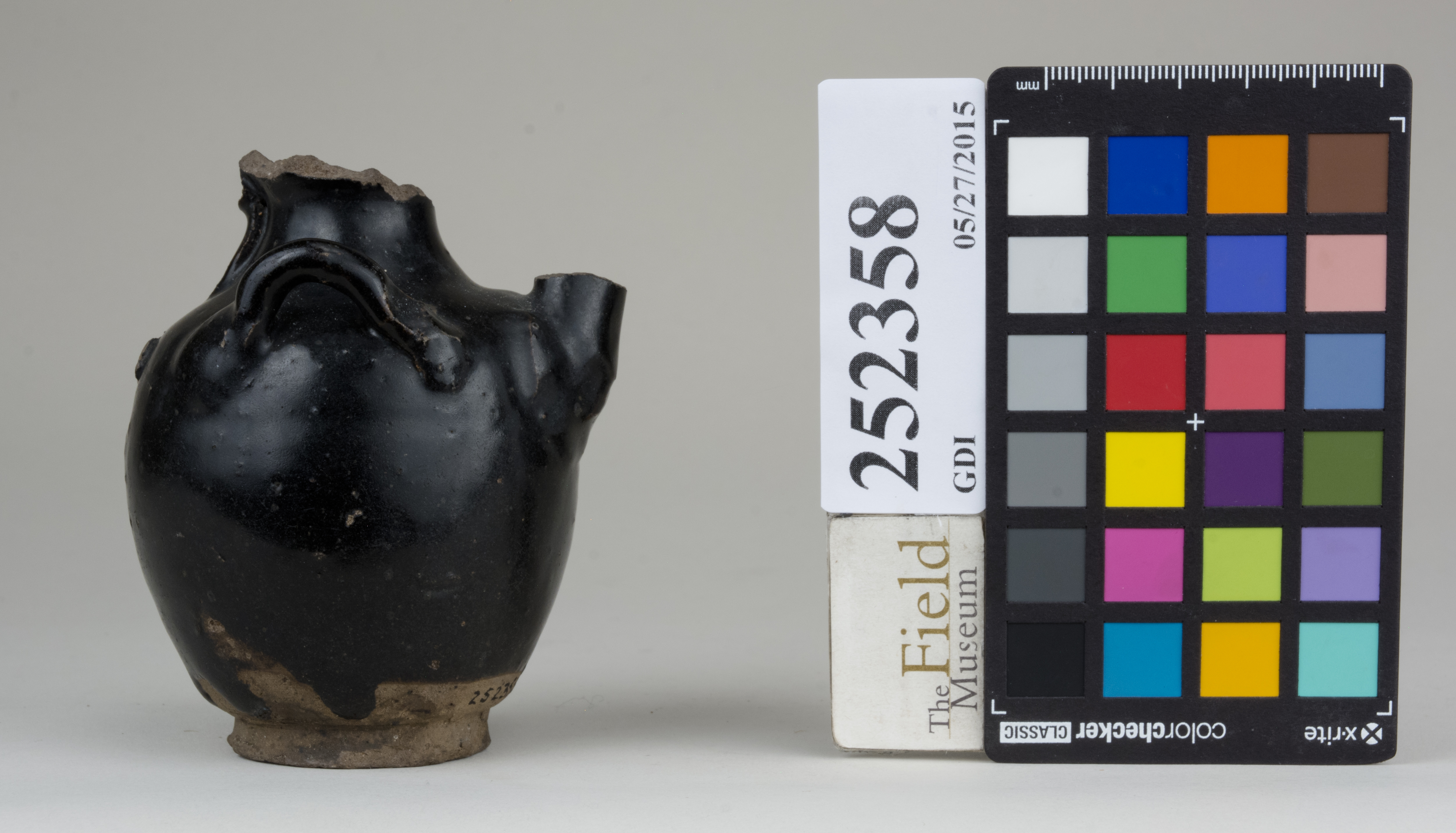 Right (c) Field Museum of Natural History - CC BY-NC 4.0