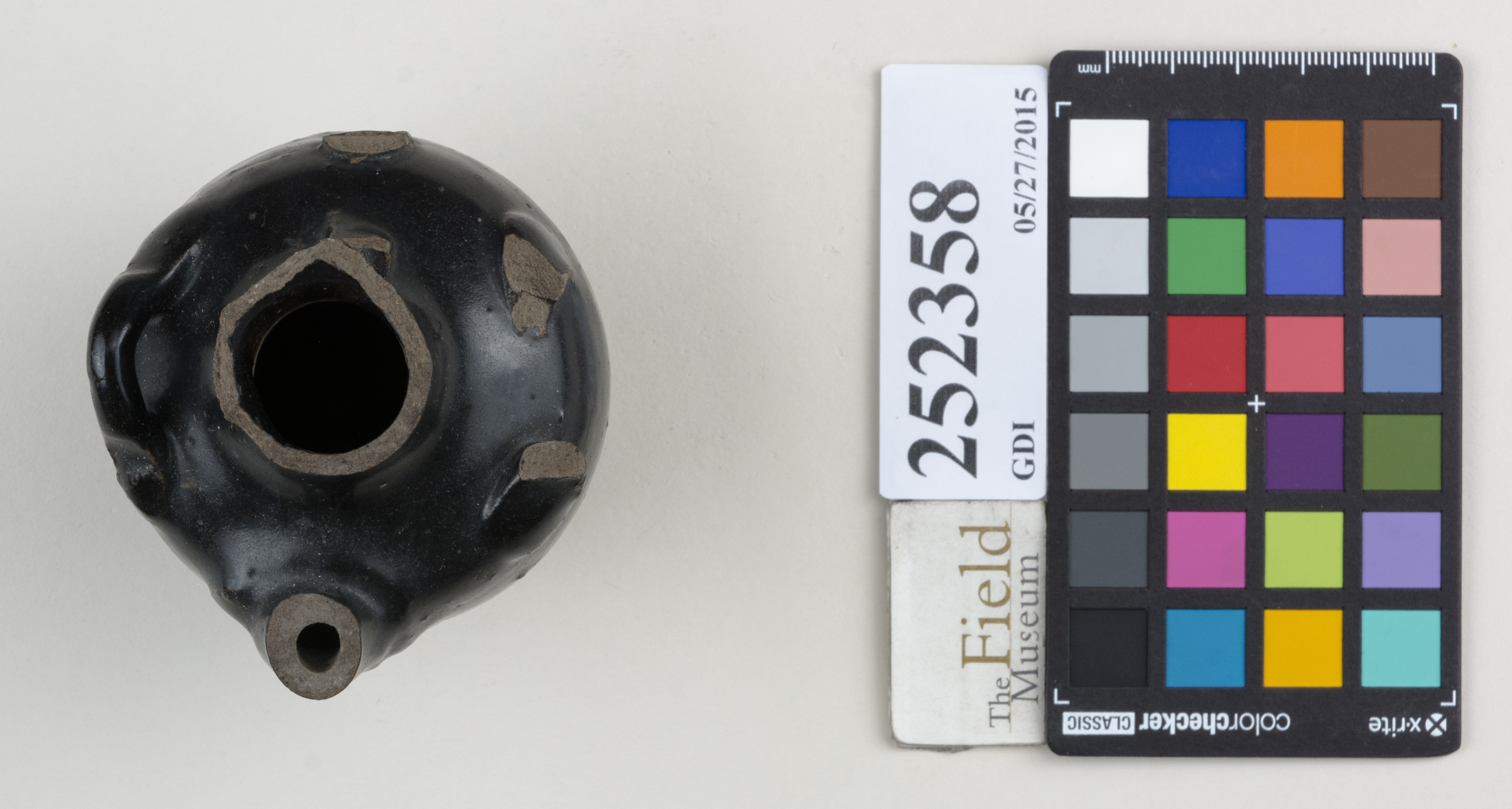 Top (c) Field Museum of Natural History - CC BY-NC 4.0