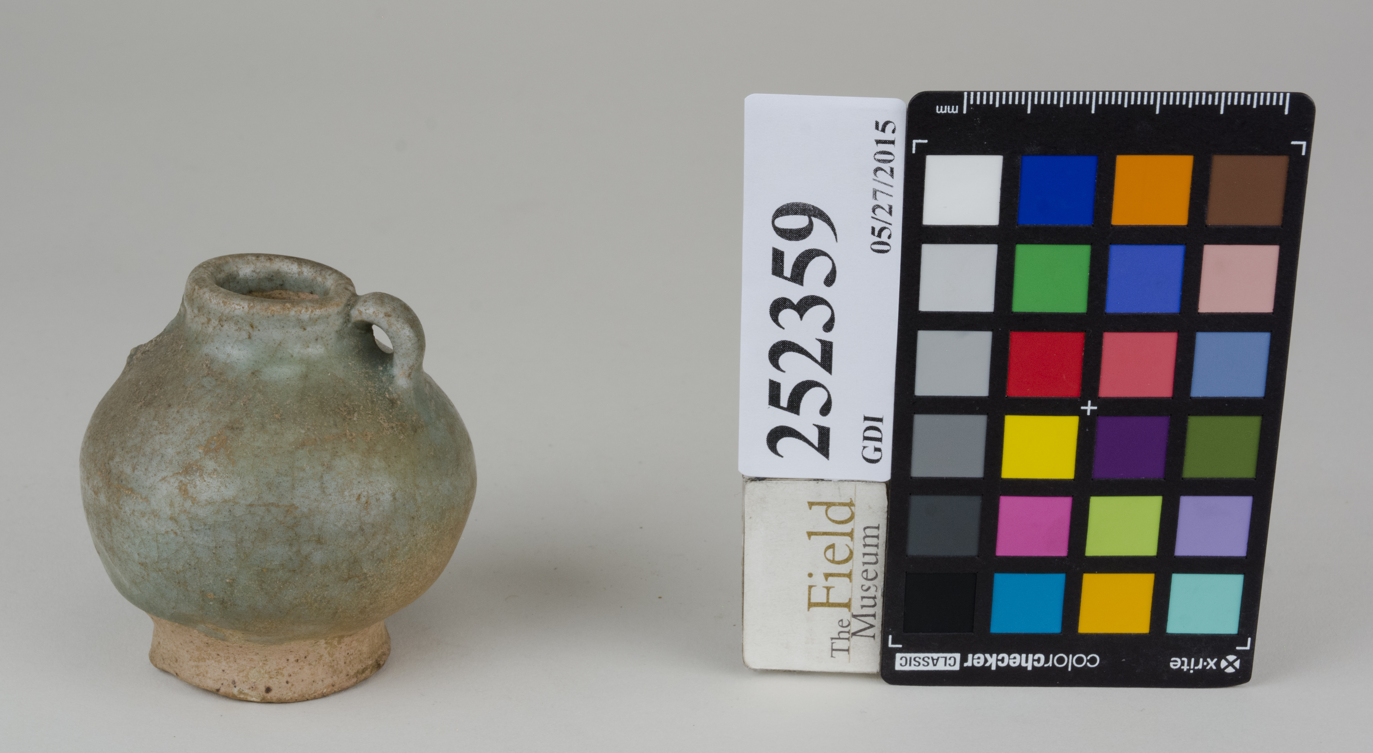 FrontAngle (c) Field Museum of Natural History - CC BY-NC 4.0