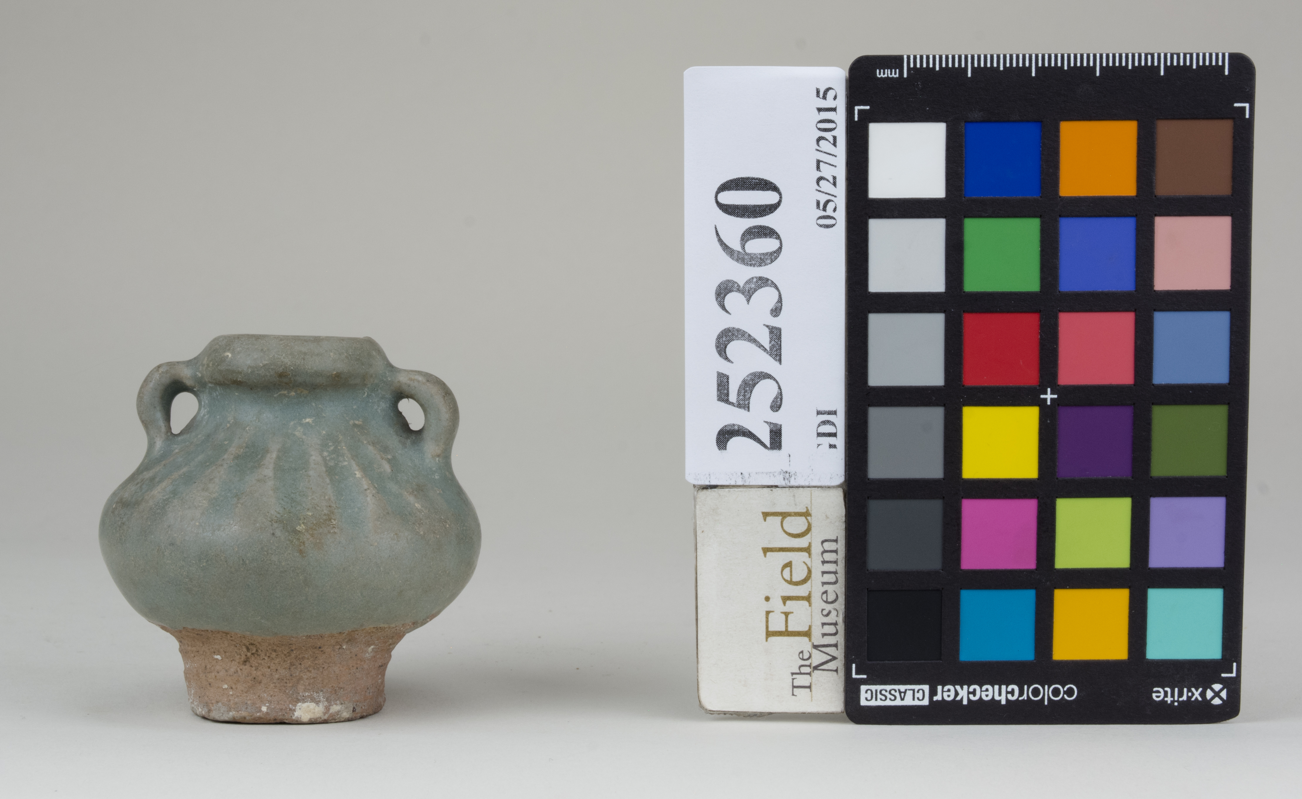 reference image, back (c) Field Museum of Natural History - CC BY-NC 4.0