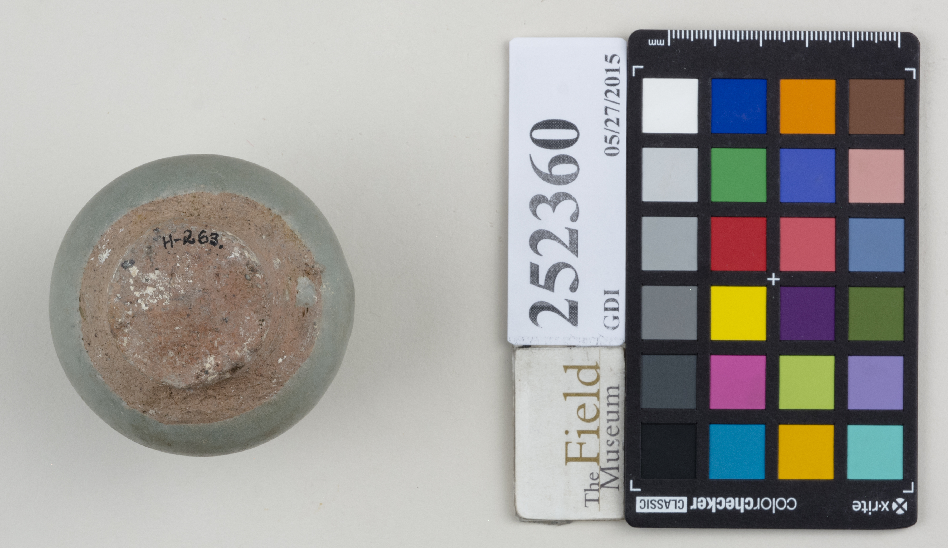 Bottom (c) Field Museum of Natural History - CC BY-NC 4.0