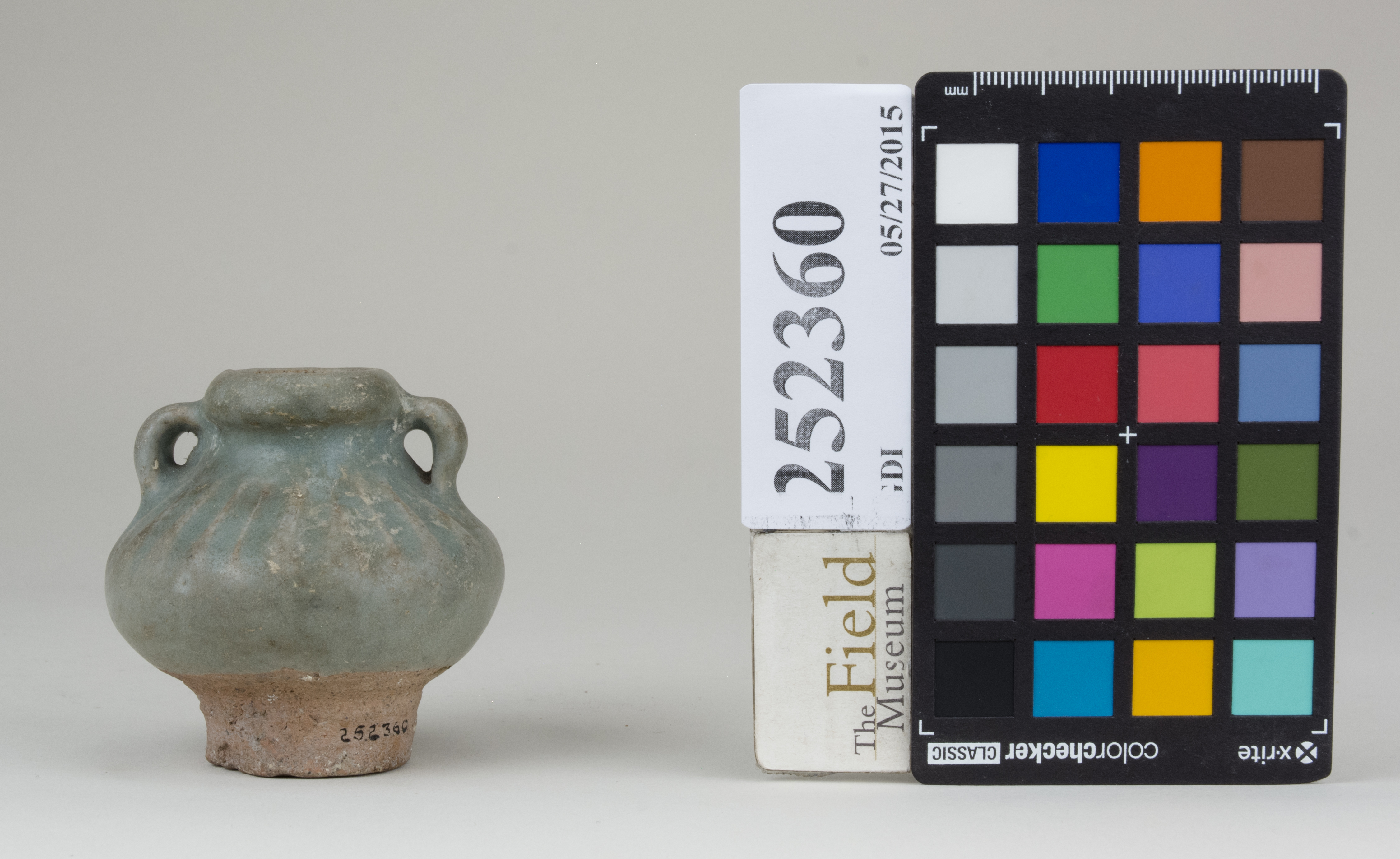 Front (c) Field Museum of Natural History - CC BY-NC 4.0