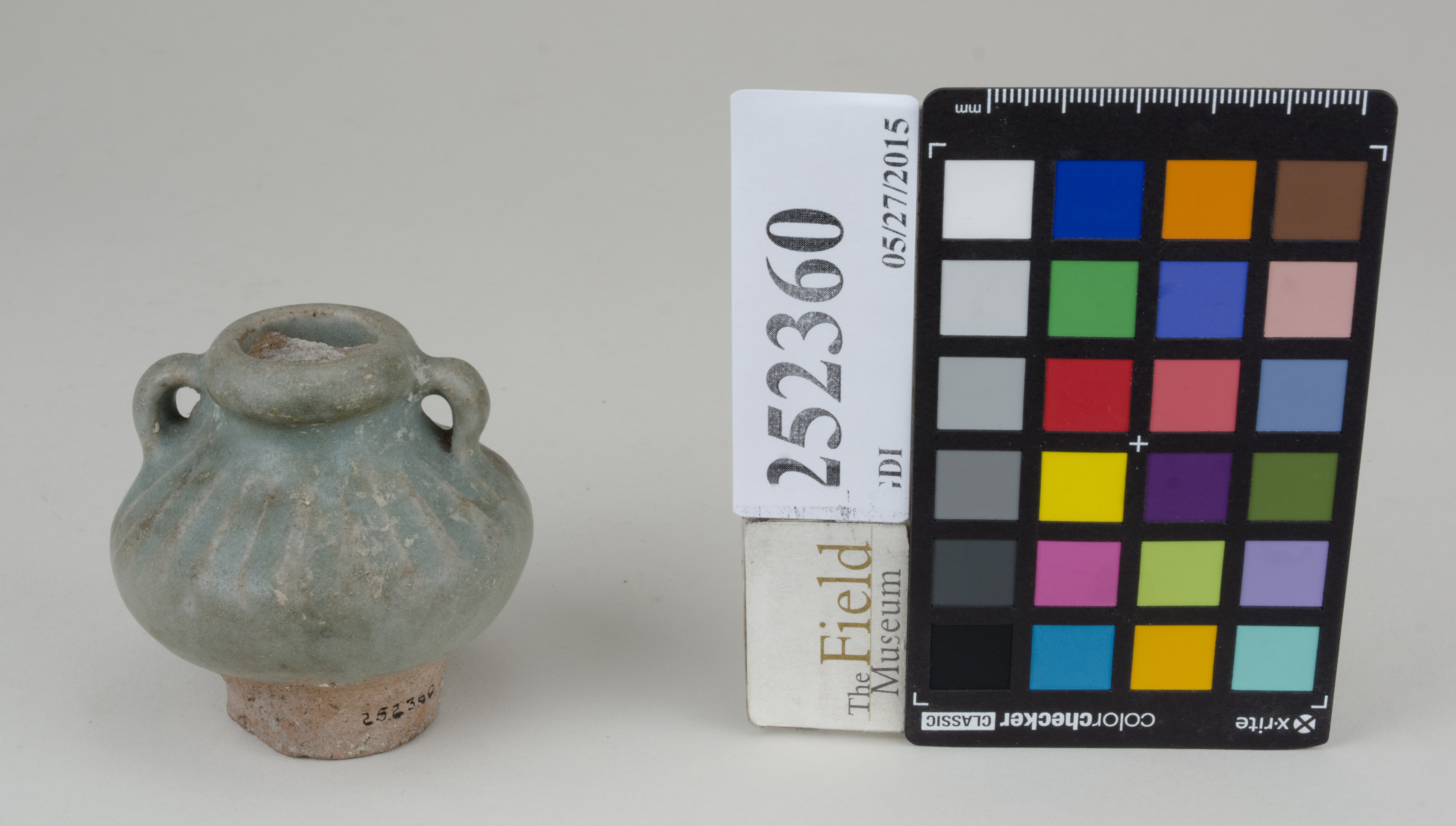 FrontAngle (c) Field Museum of Natural History - CC BY-NC 4.0