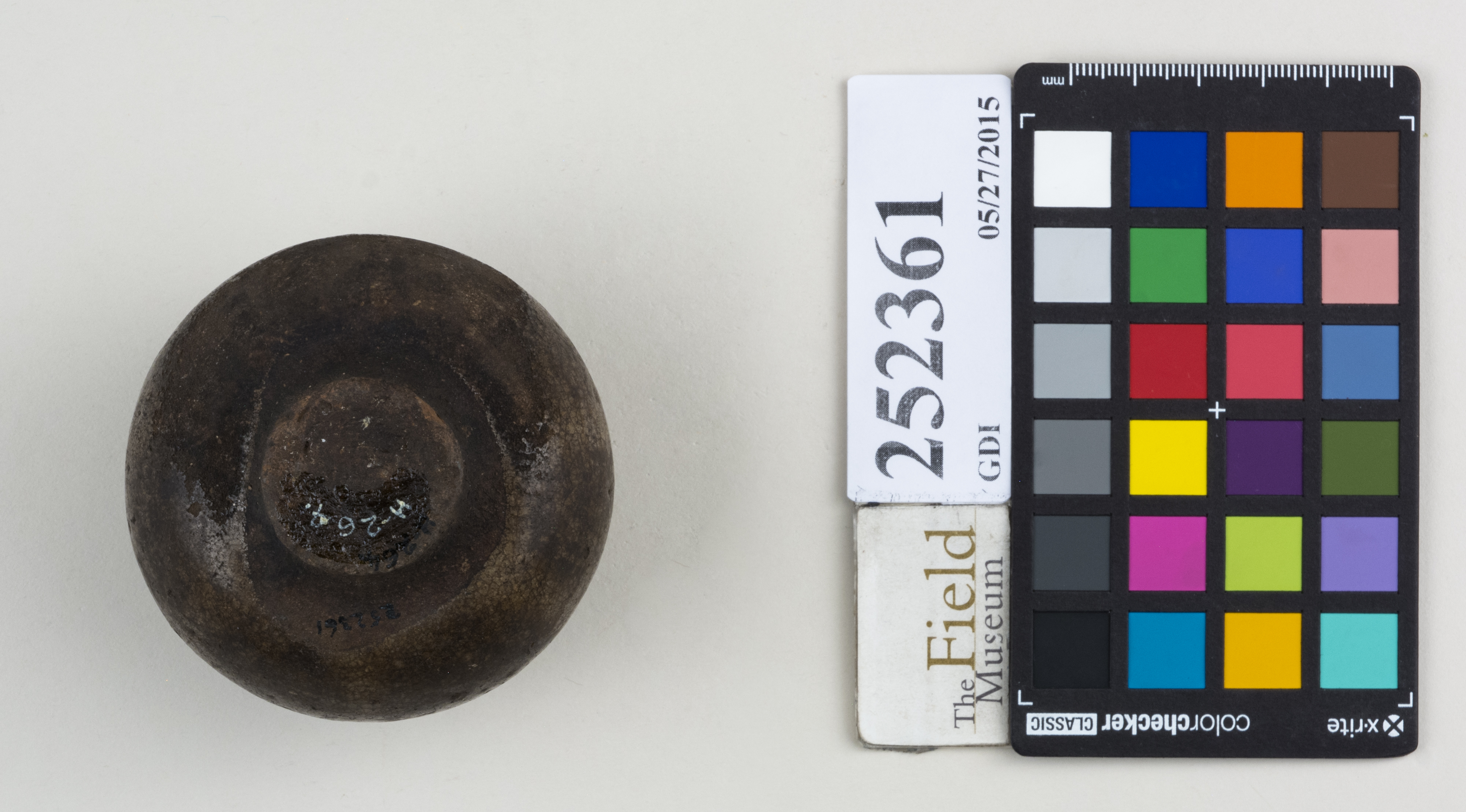 Bottom (c) Field Museum of Natural History - CC BY-NC 4.0