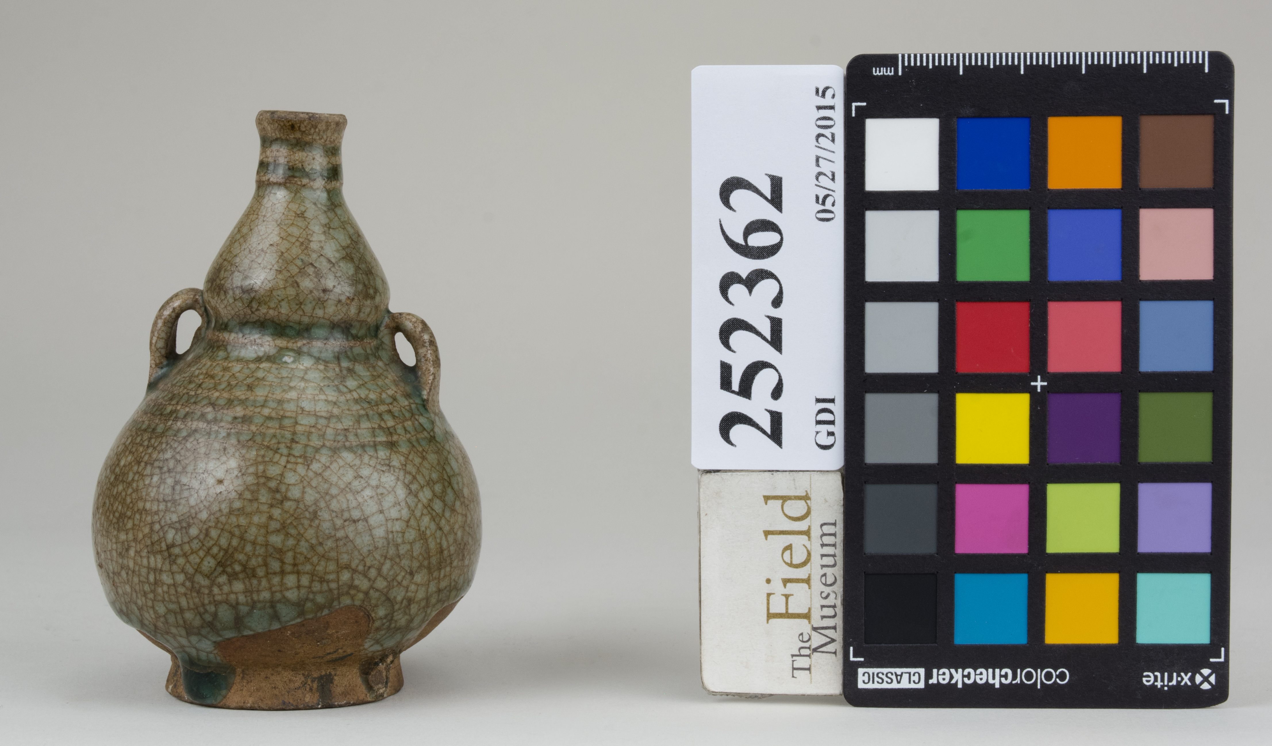 reference image, back (c) Field Museum of Natural History - CC BY-NC 4.0