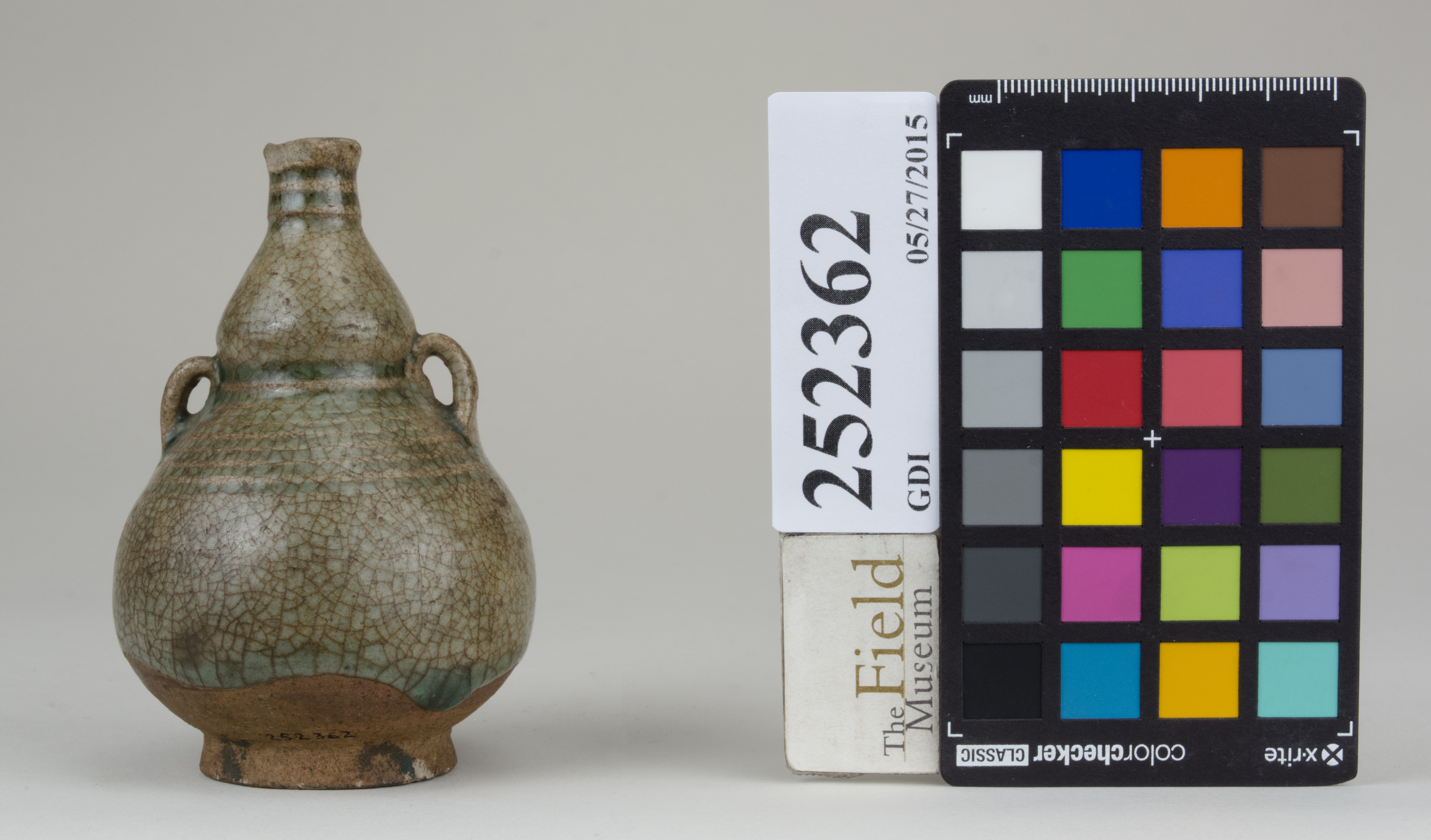 Front (c) Field Museum of Natural History - CC BY-NC 4.0