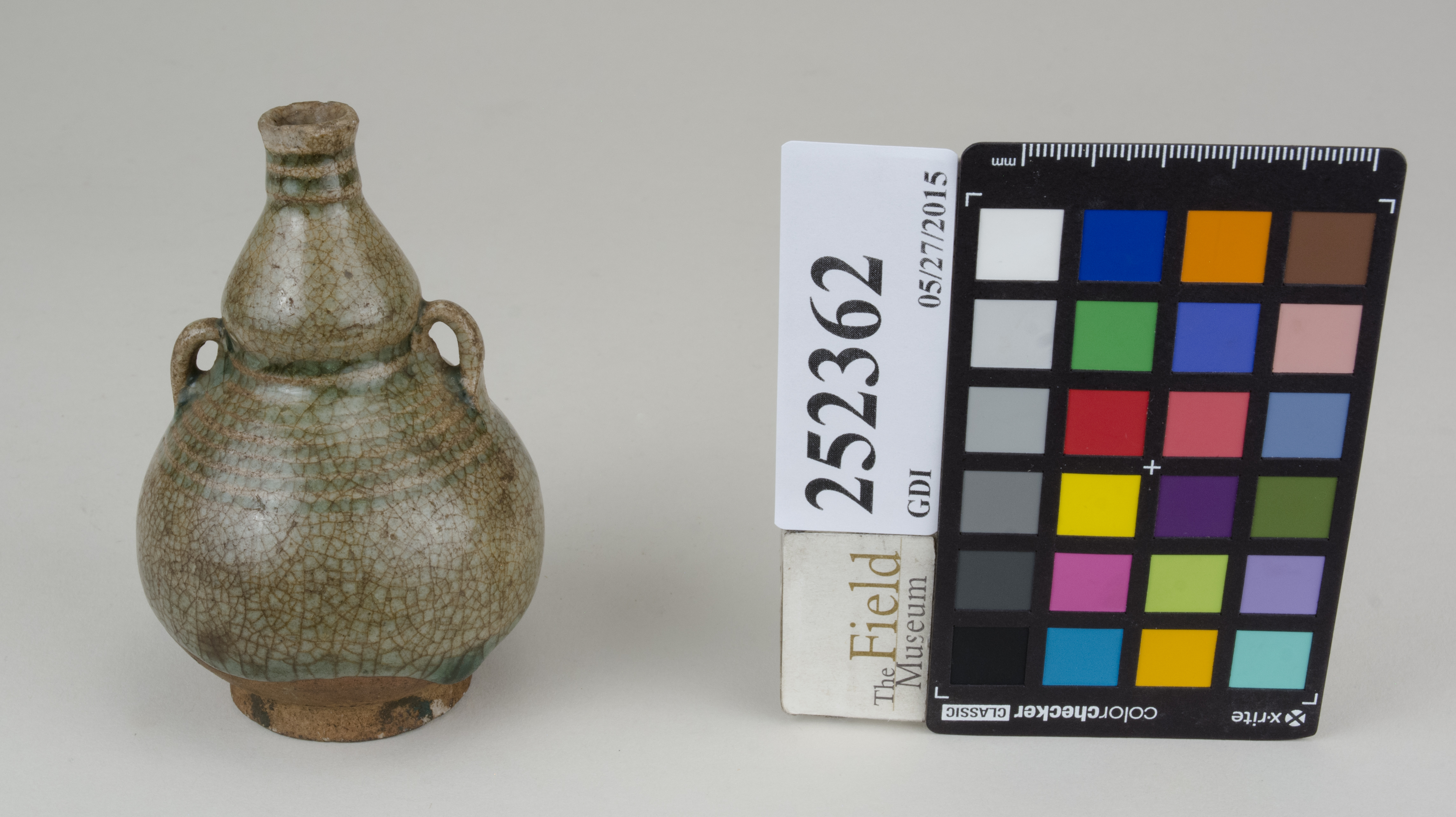 FrontAngle (c) Field Museum of Natural History - CC BY-NC 4.0