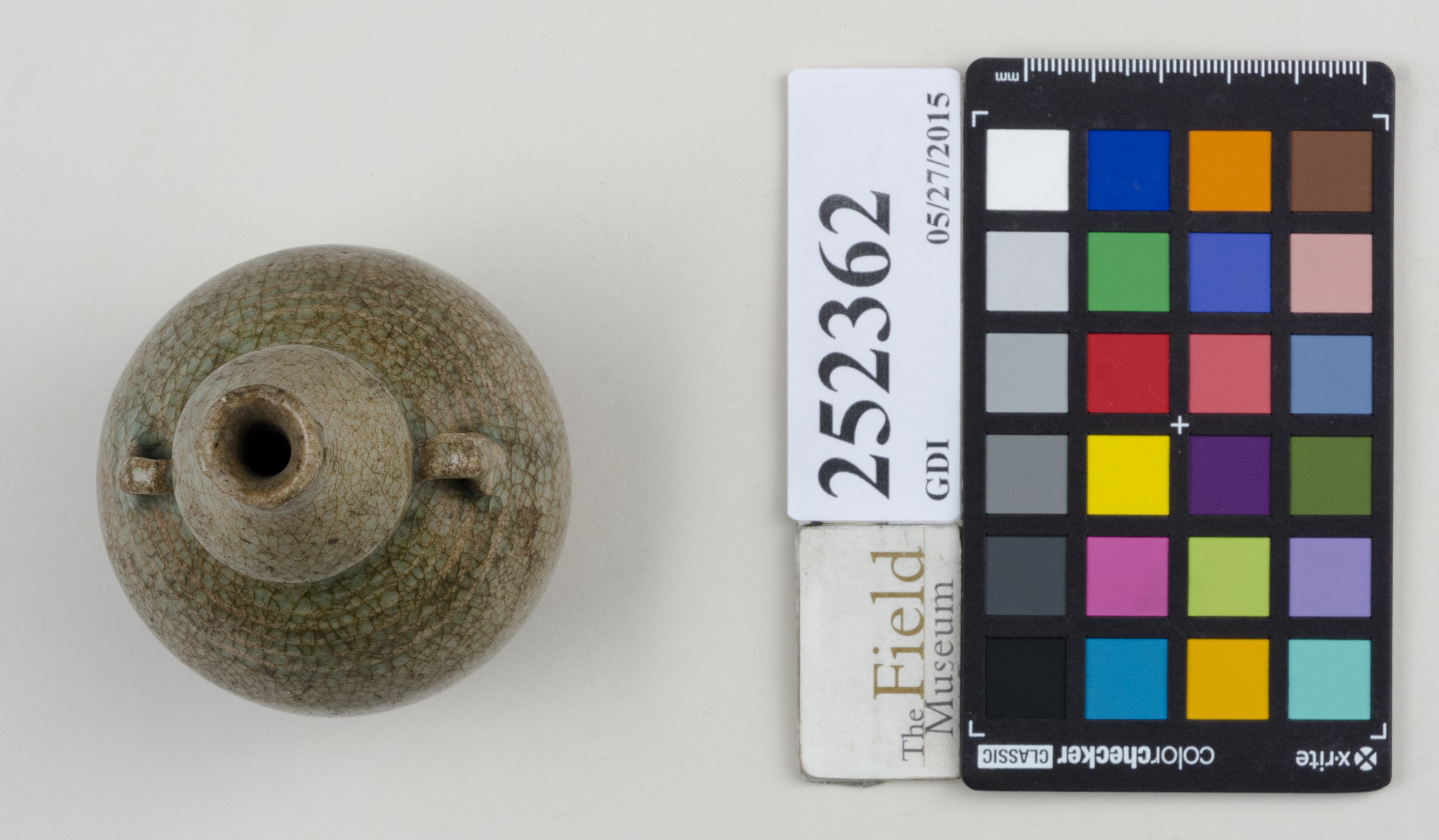 Top (c) Field Museum of Natural History - CC BY-NC 4.0