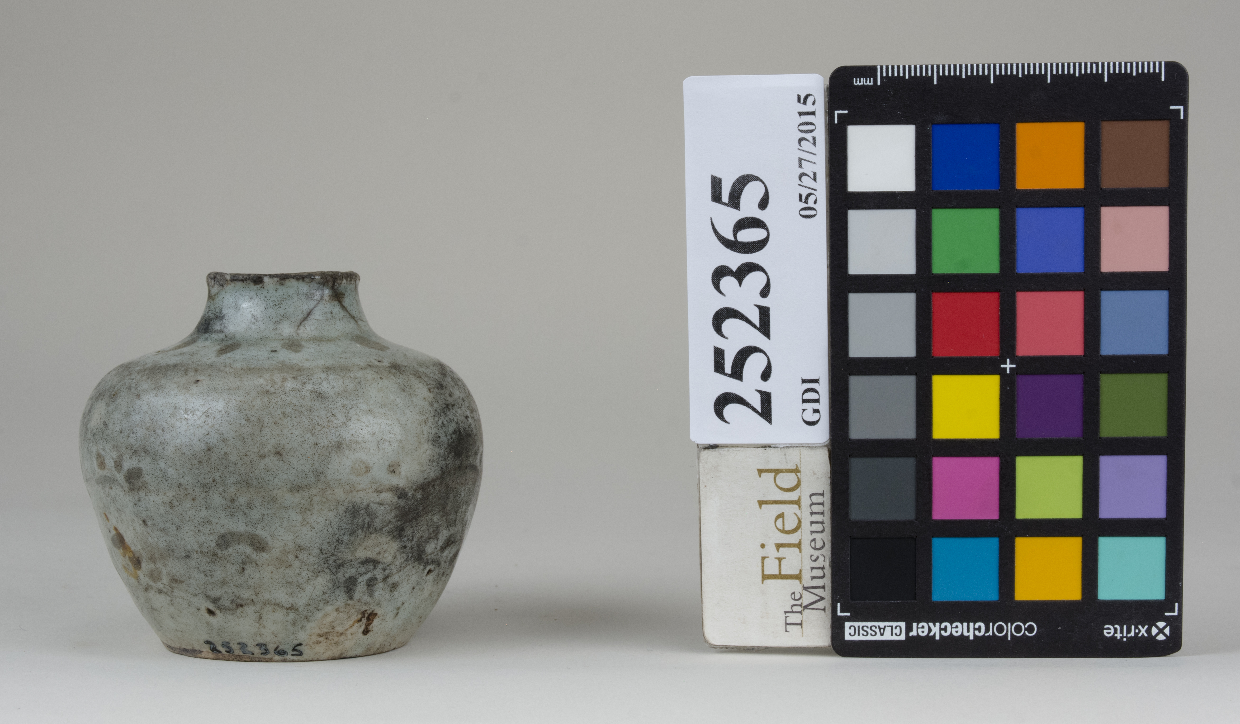 Front (c) Field Museum of Natural History - CC BY-NC 4.0