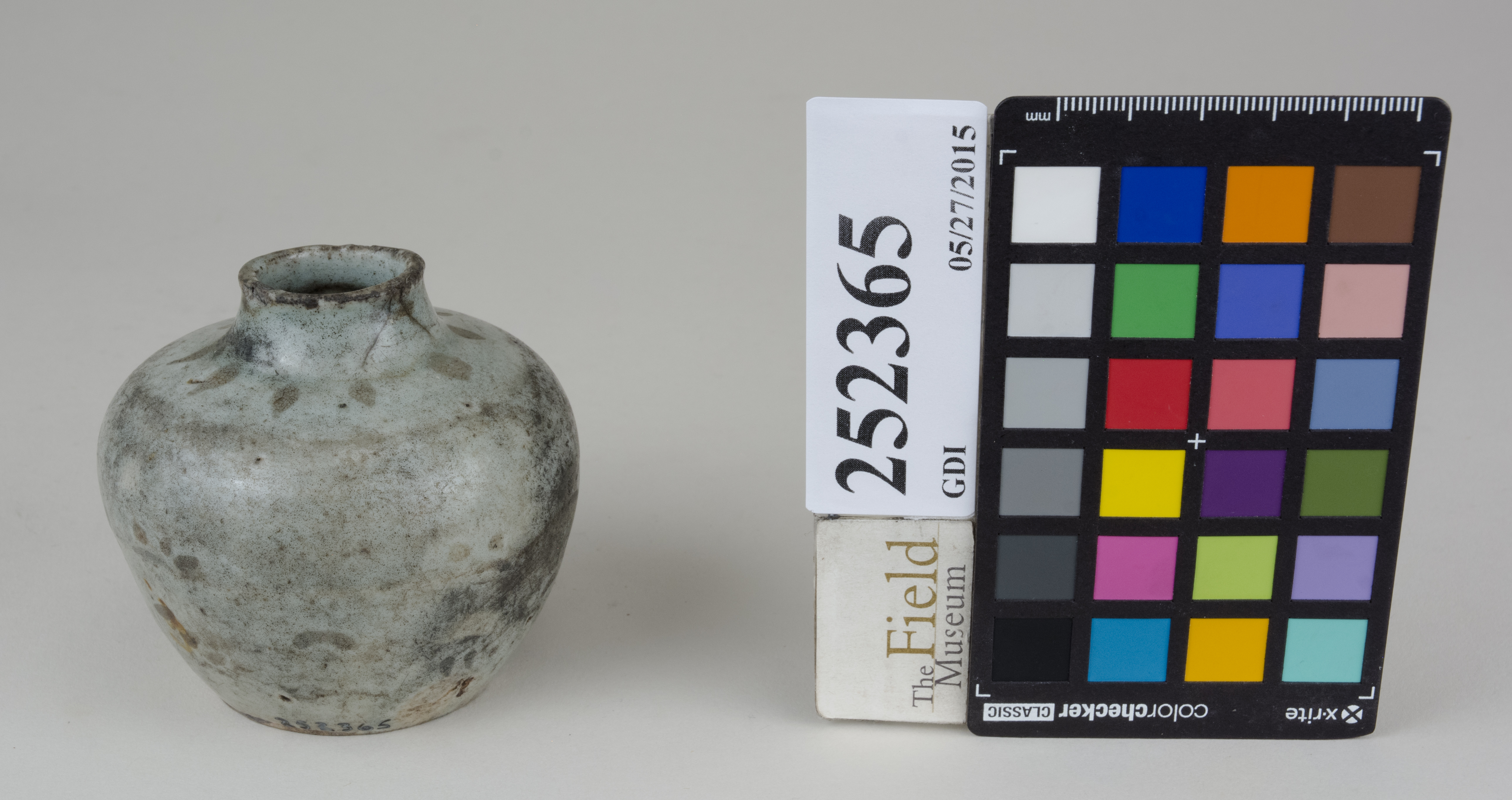 FrontAngle (c) Field Museum of Natural History - CC BY-NC 4.0