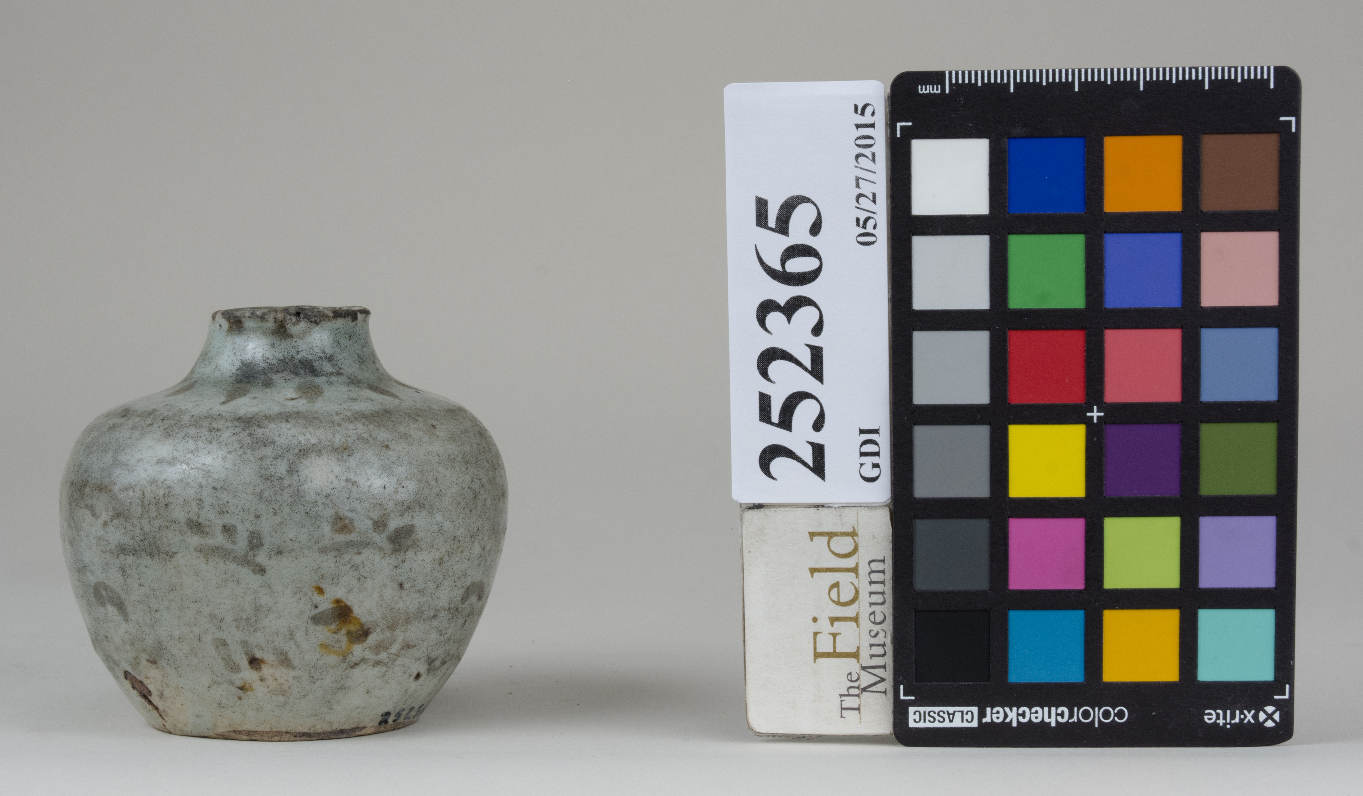 Right (c) Field Museum of Natural History - CC BY-NC 4.0