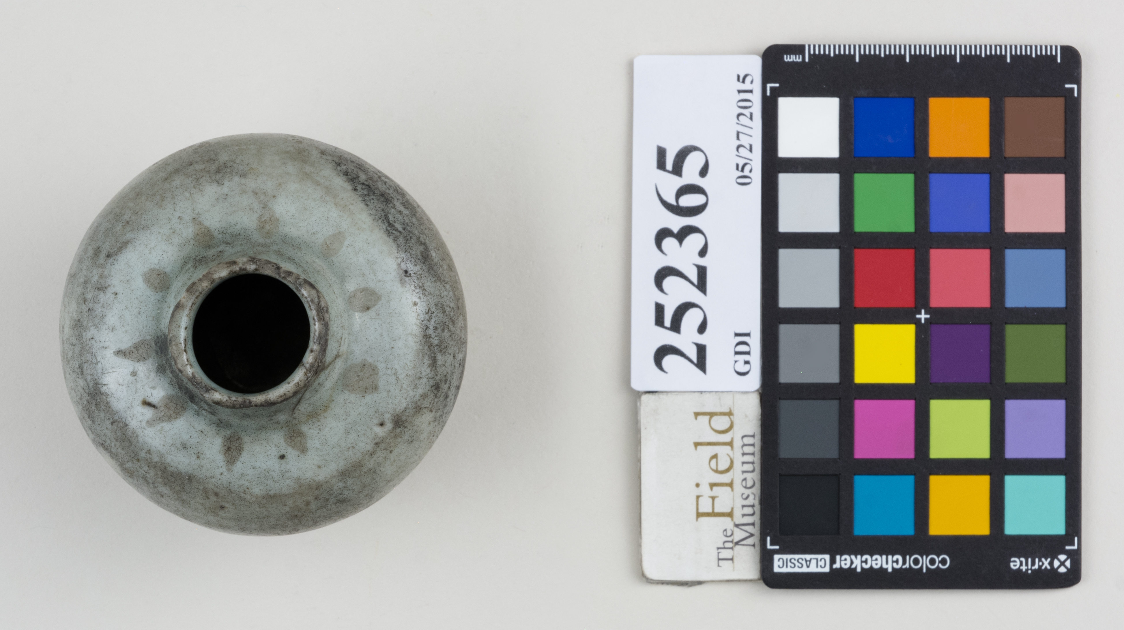 Top (c) Field Museum of Natural History - CC BY-NC 4.0