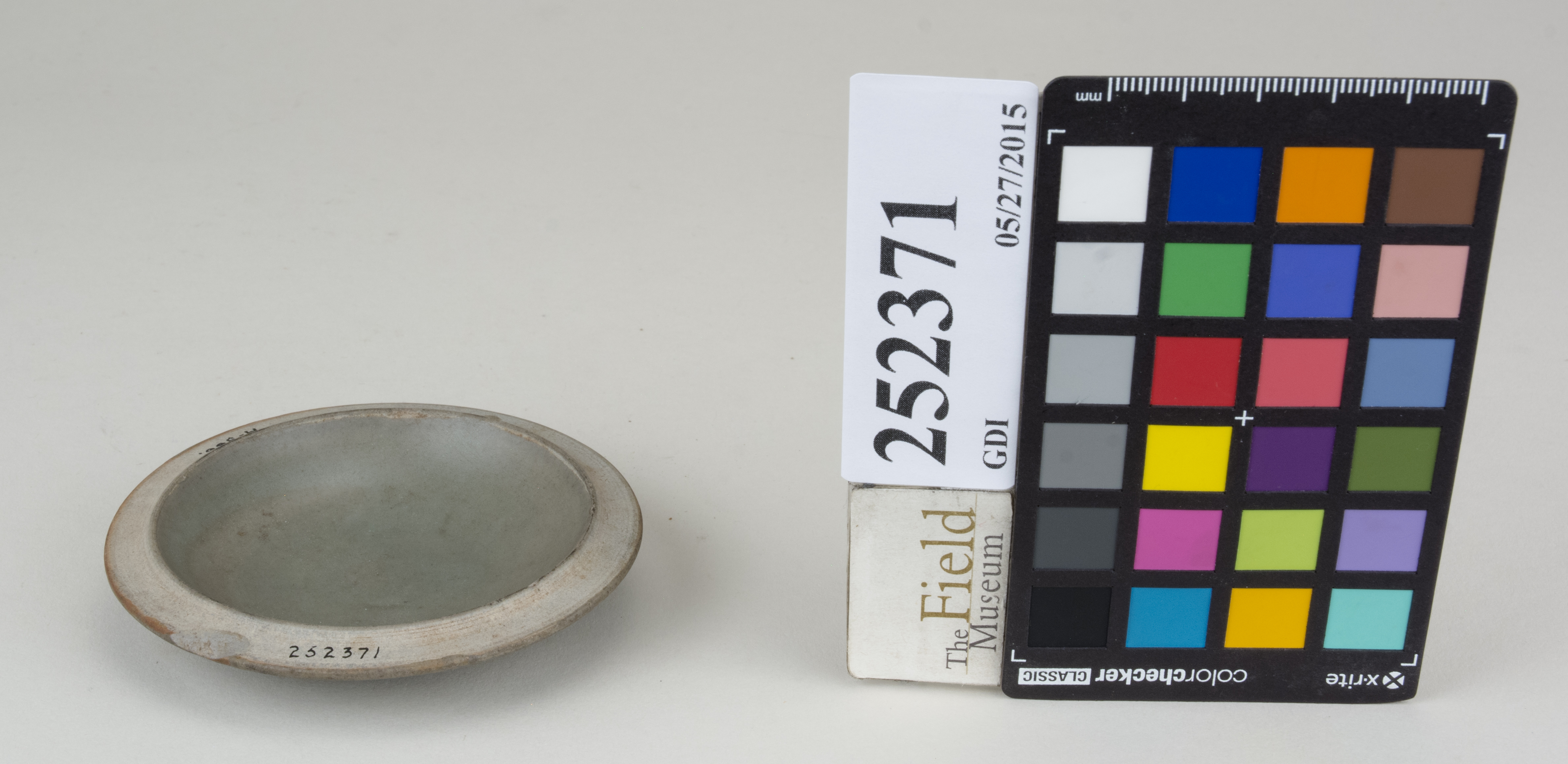 FrontAngle (c) Field Museum of Natural History - CC BY-NC 4.0