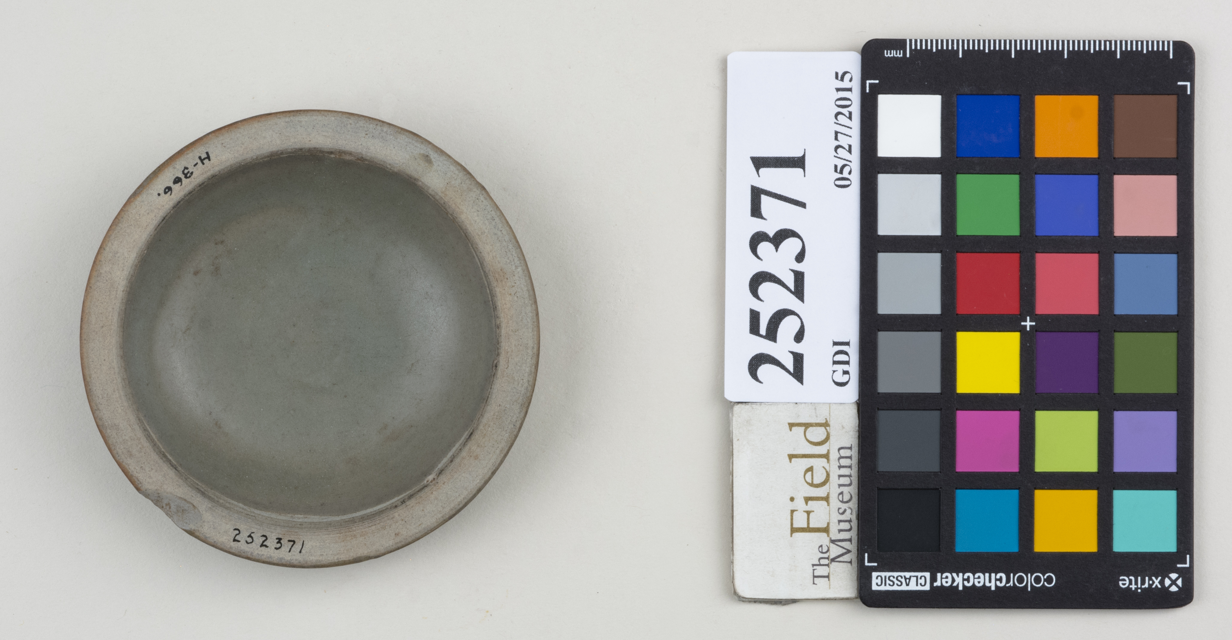 Top (c) Field Museum of Natural History - CC BY-NC 4.0