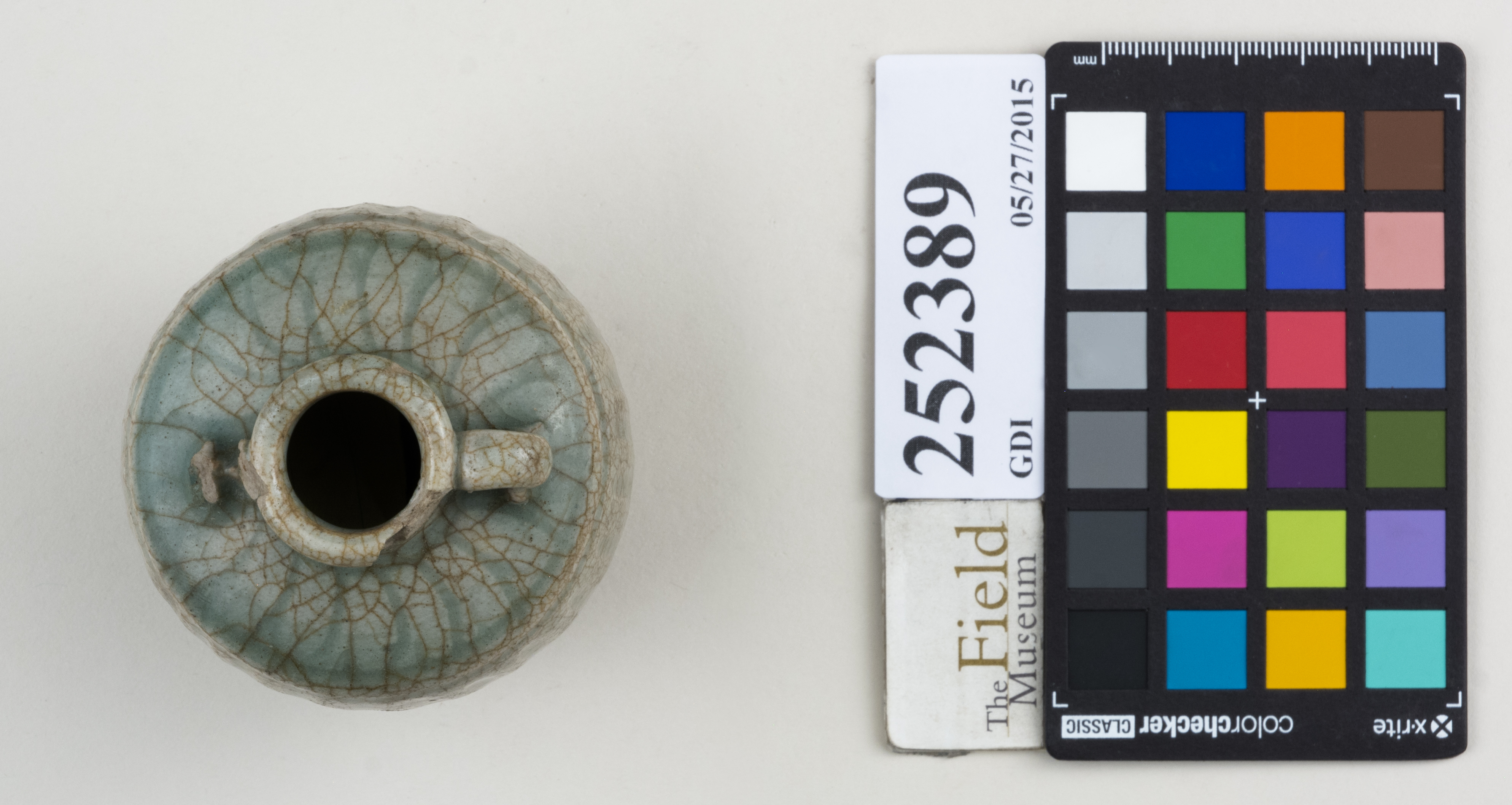 Top (c) Field Museum of Natural History - CC BY-NC 4.0