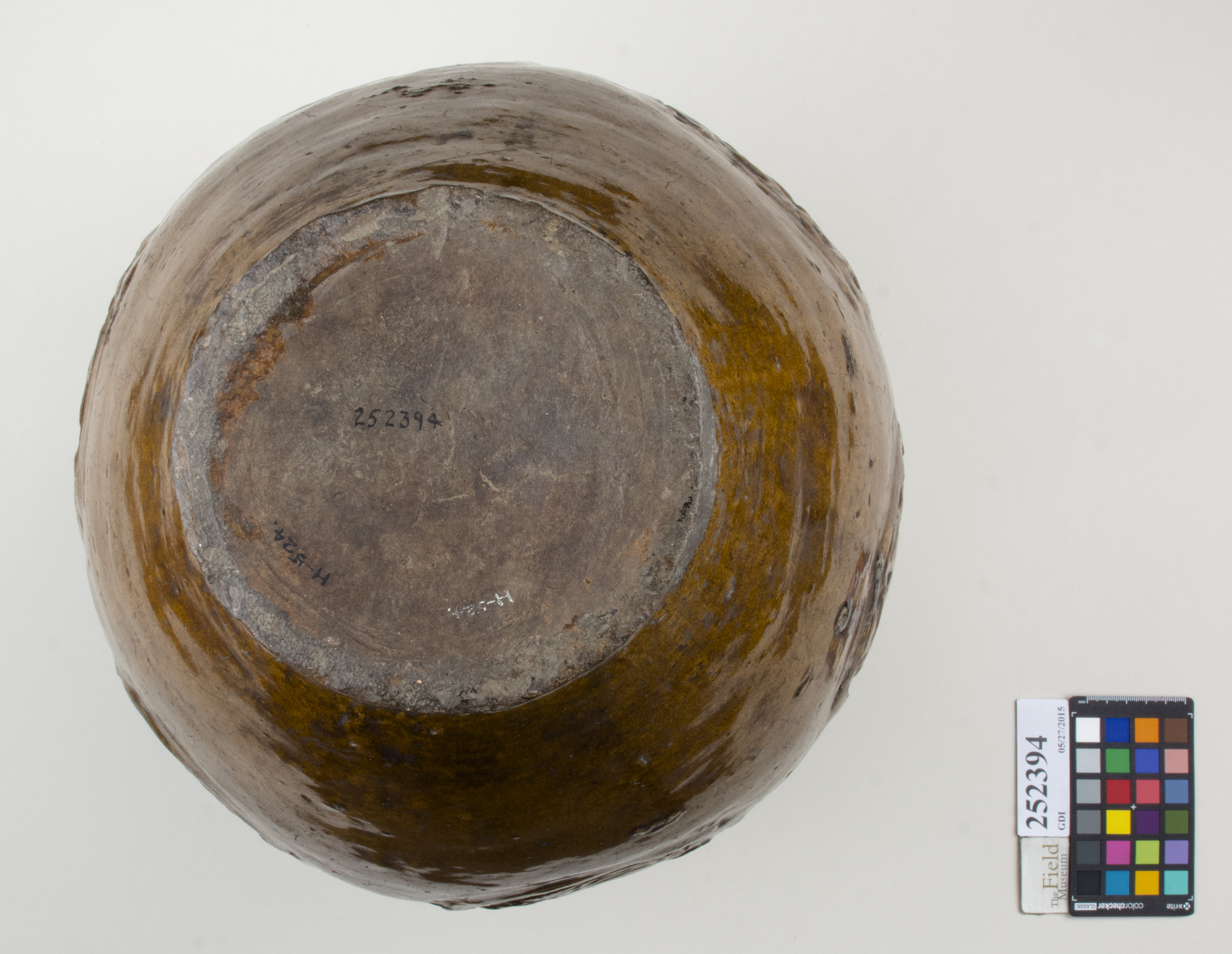 Bottom (c) Field Museum of Natural History - CC BY-NC 4.0