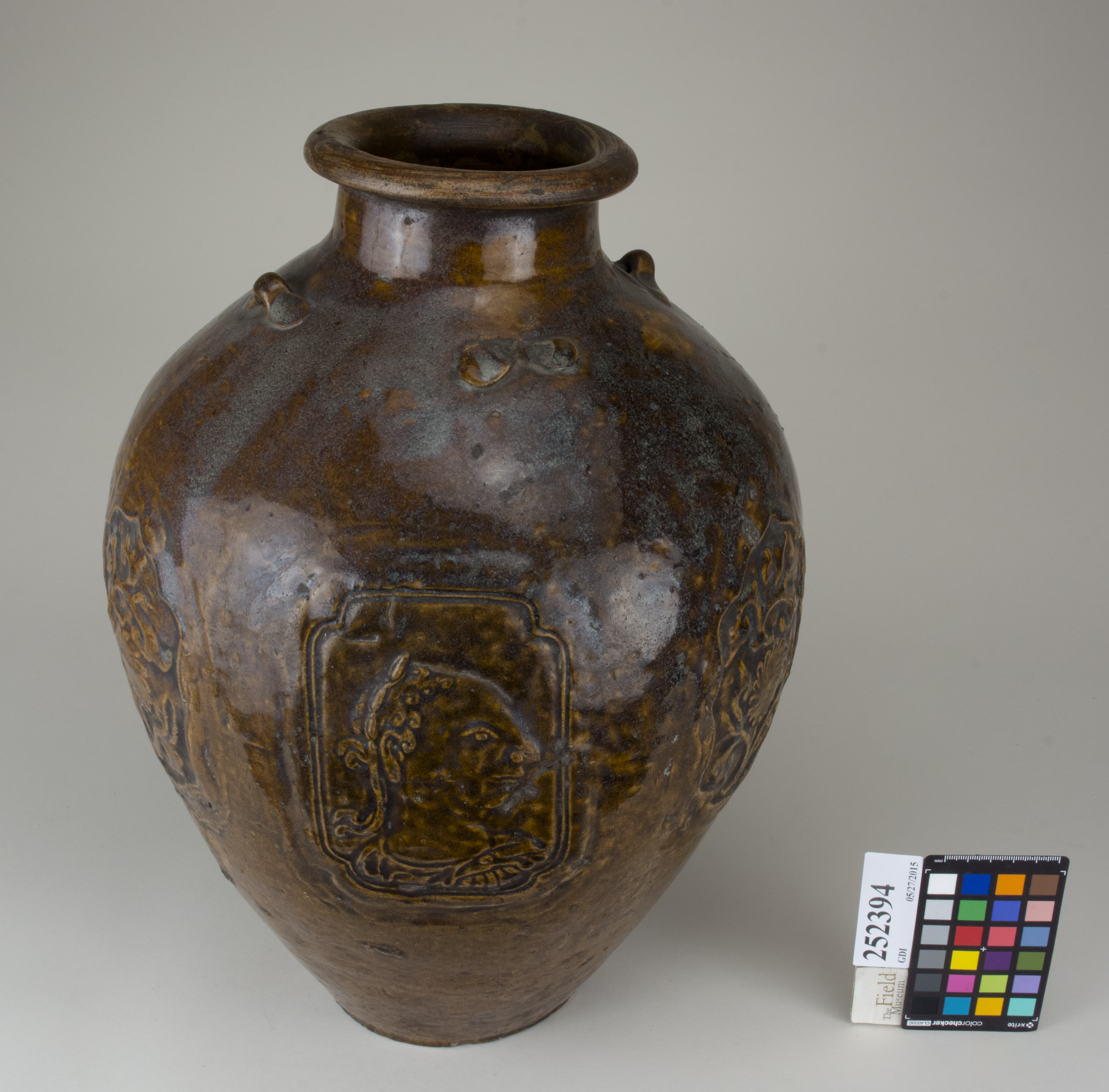 FrontAngle (c) Field Museum of Natural History - CC BY-NC 4.0