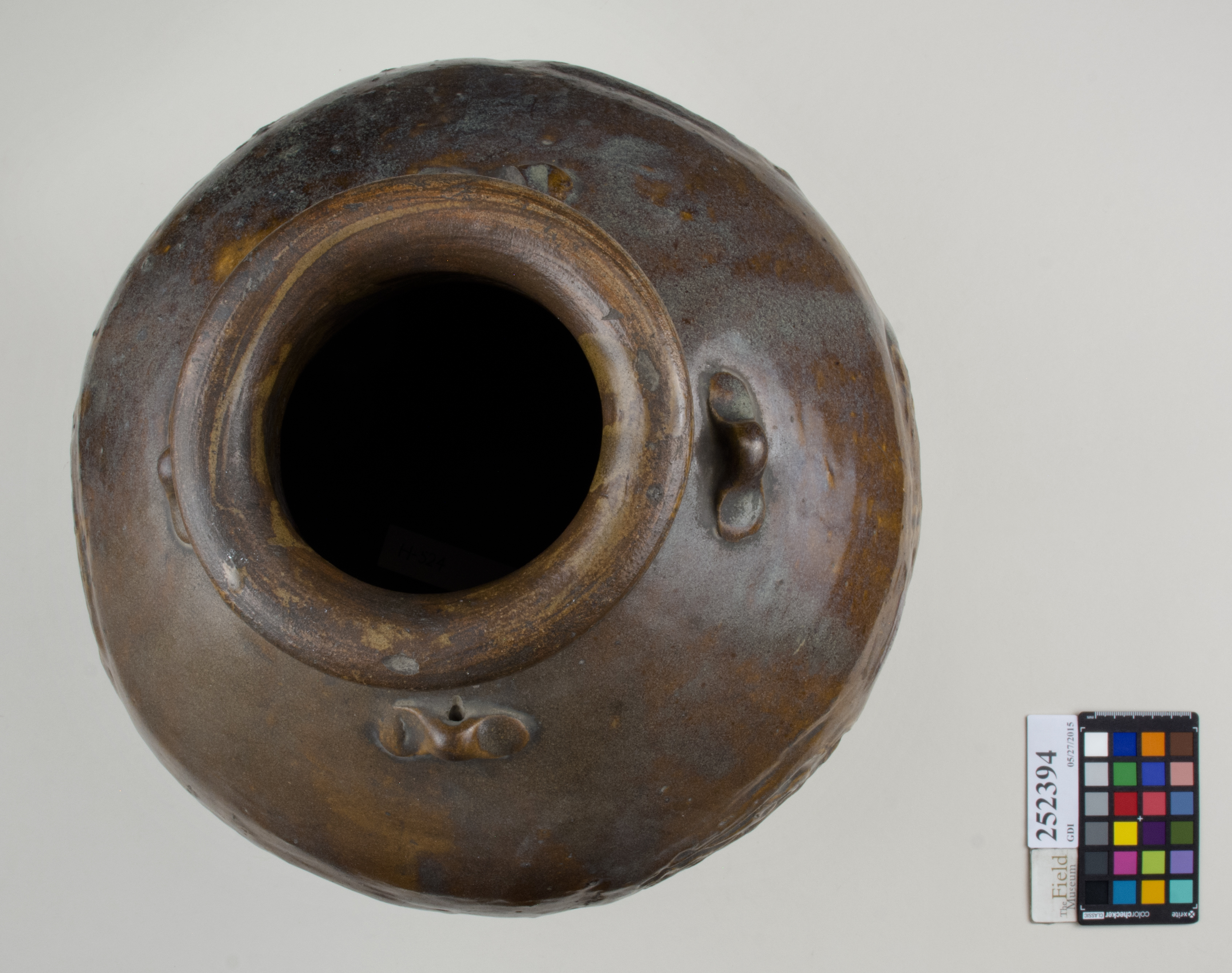 Top (c) Field Museum of Natural History - CC BY-NC 4.0