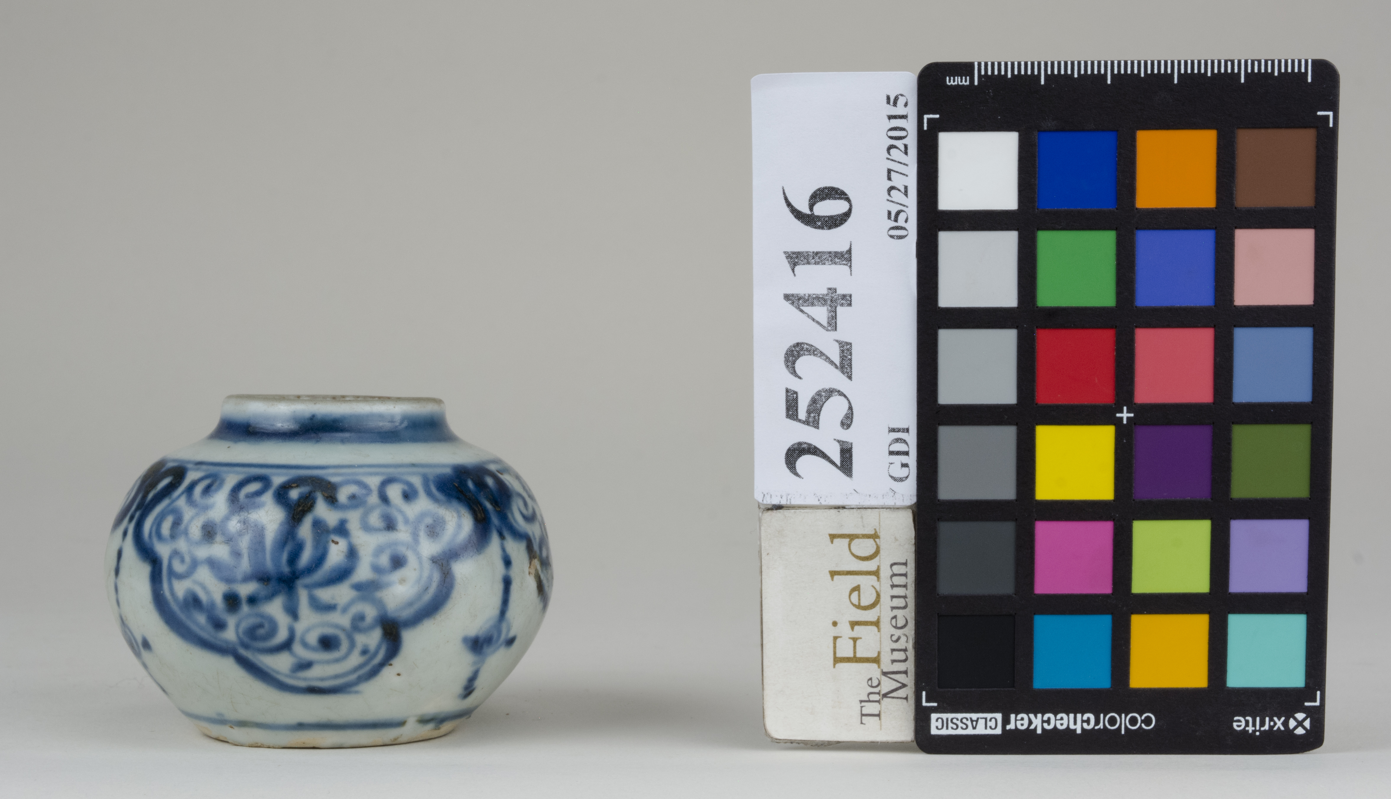 reference image, back (c) Field Museum of Natural History - CC BY-NC 4.0