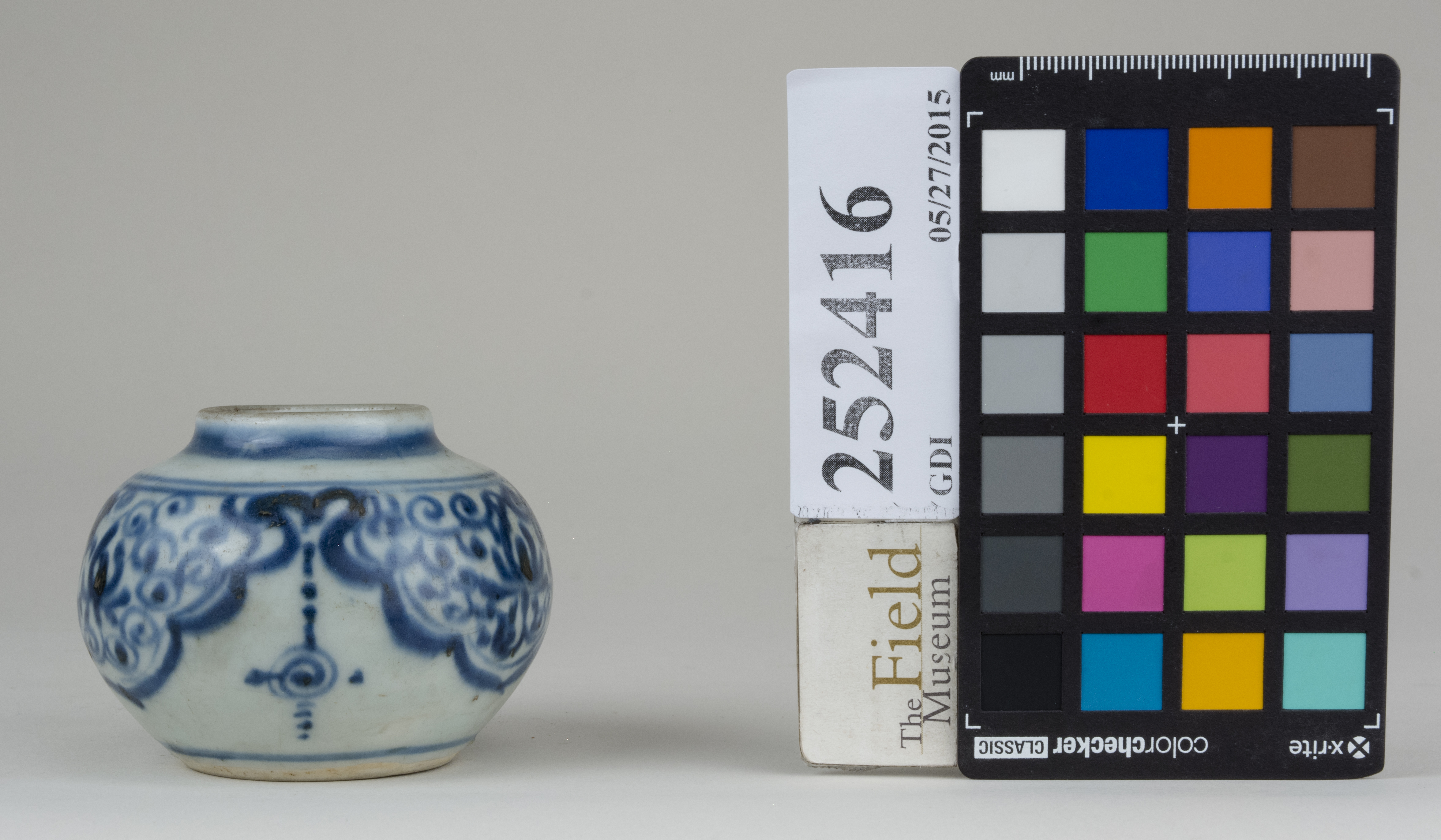 Front (c) Field Museum of Natural History - CC BY-NC 4.0