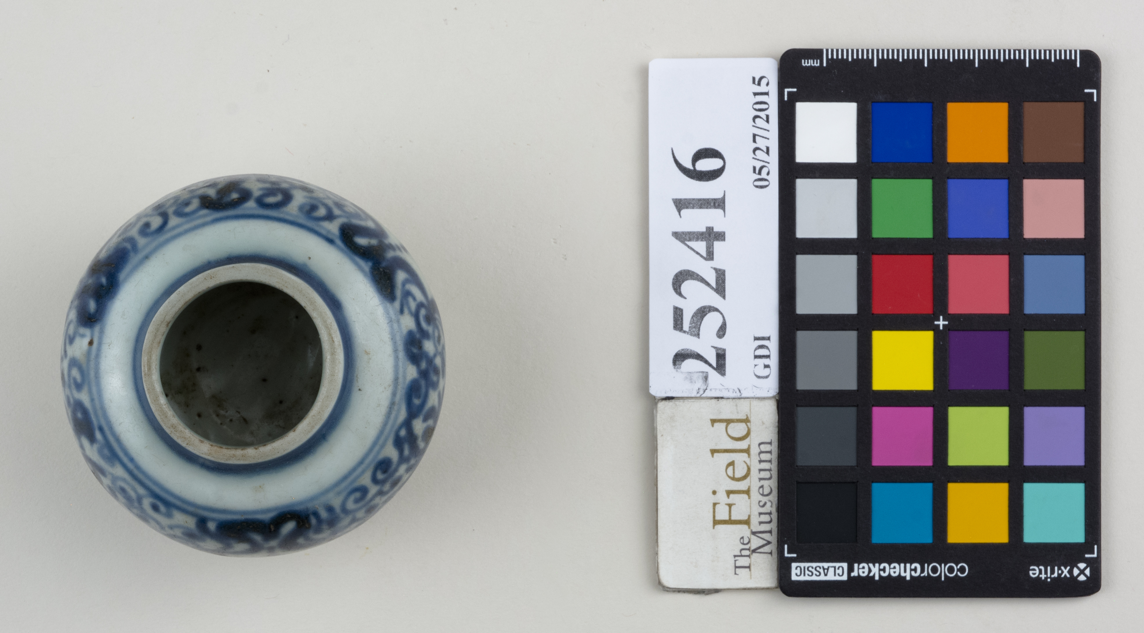 Top (c) Field Museum of Natural History - CC BY-NC 4.0