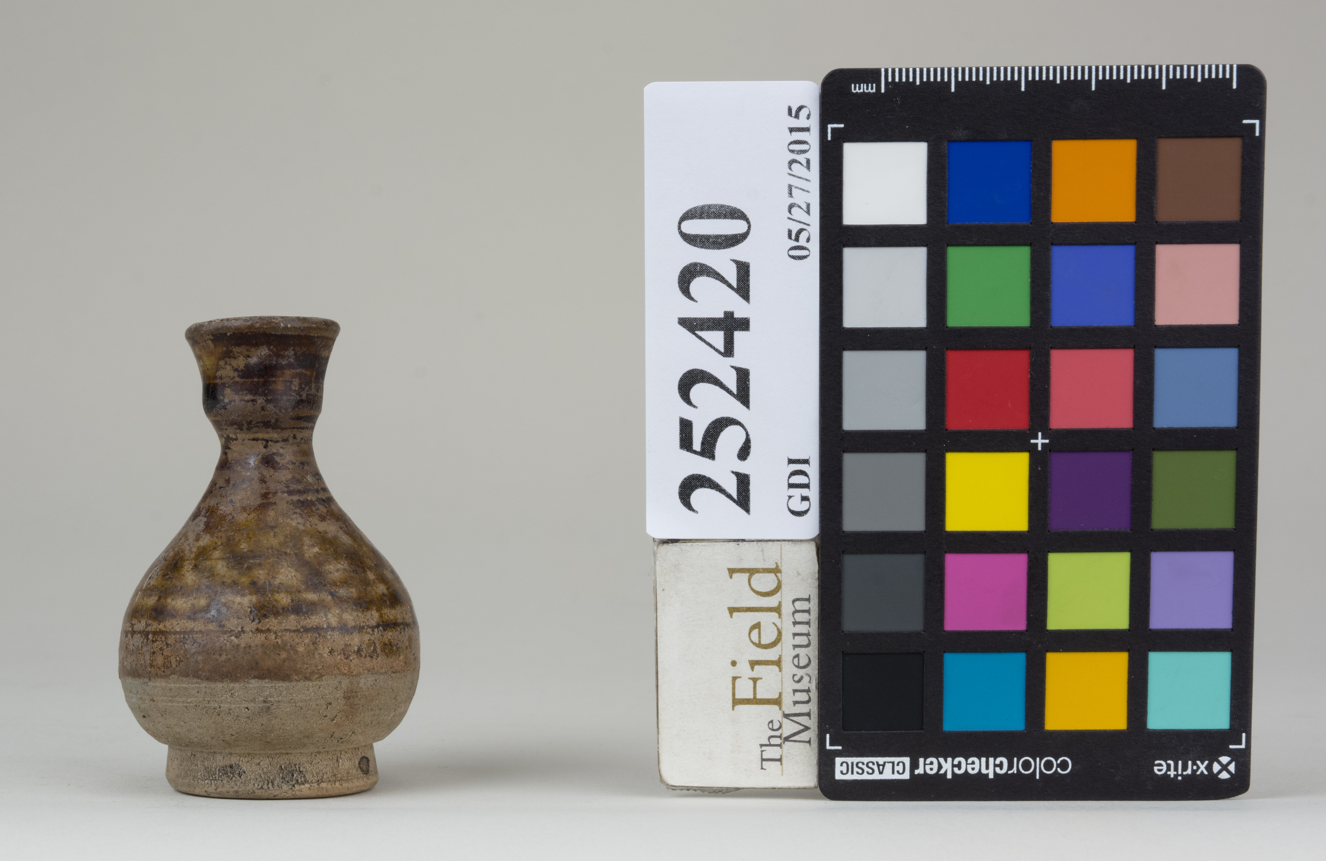 reference image, back (c) Field Museum of Natural History - CC BY-NC 4.0