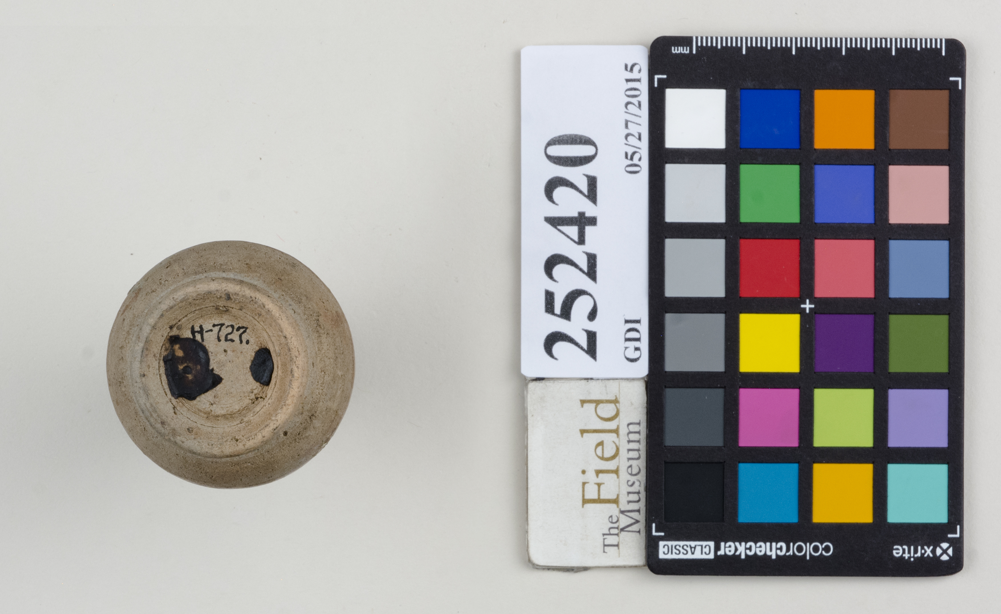 Bottom (c) Field Museum of Natural History - CC BY-NC 4.0