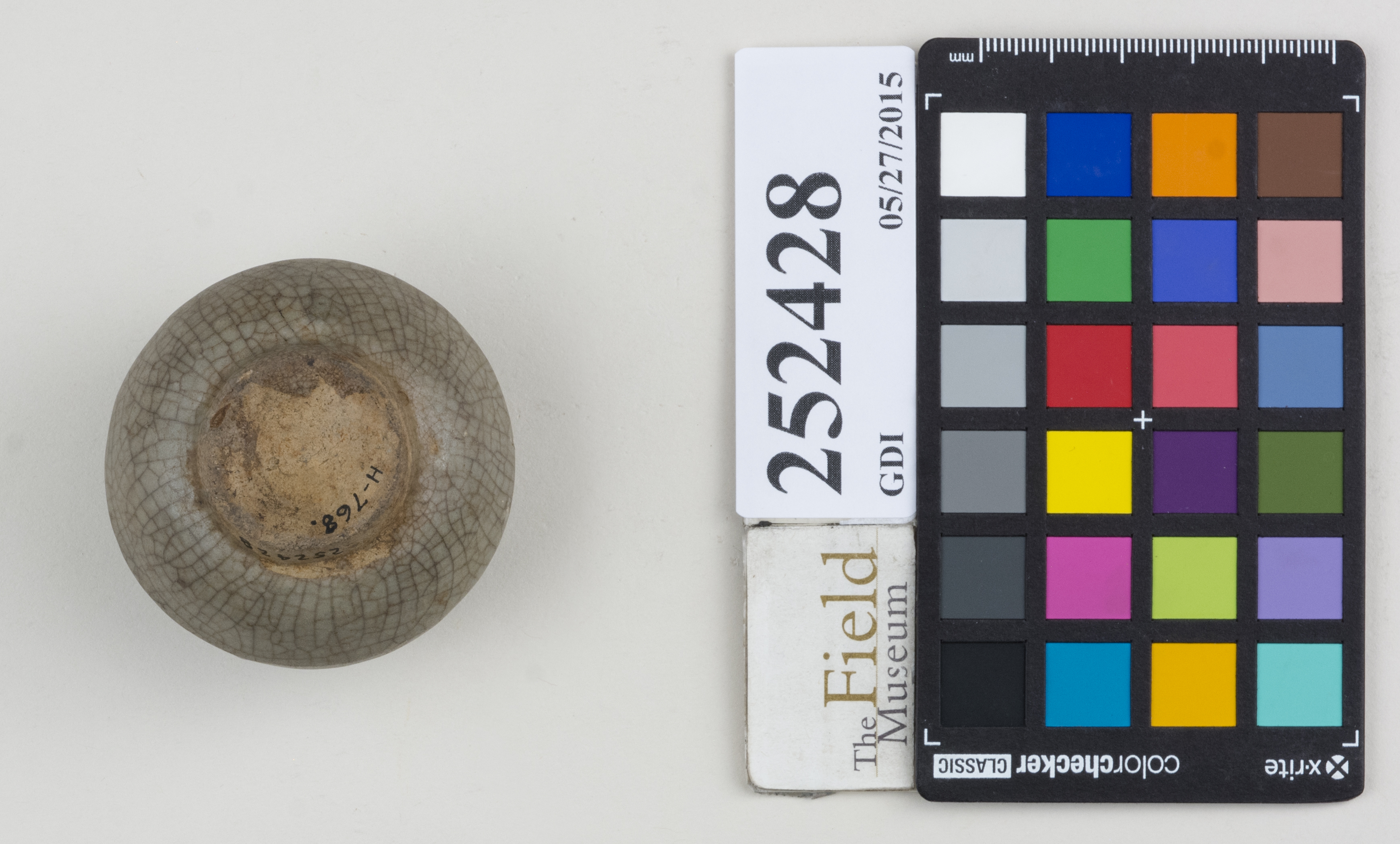 Bottom (c) Field Museum of Natural History - CC BY-NC 4.0