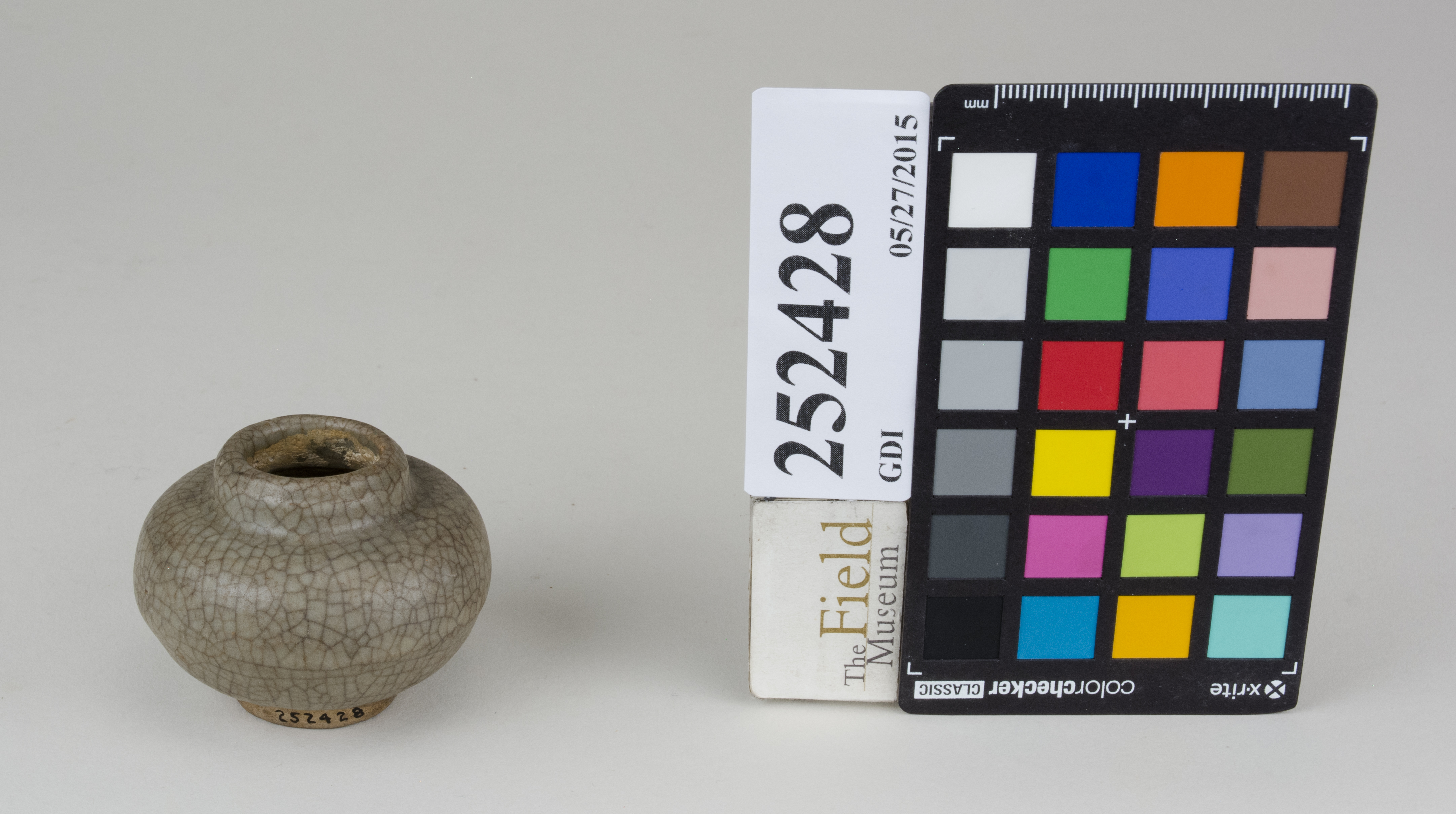 FrontAngle (c) Field Museum of Natural History - CC BY-NC 4.0