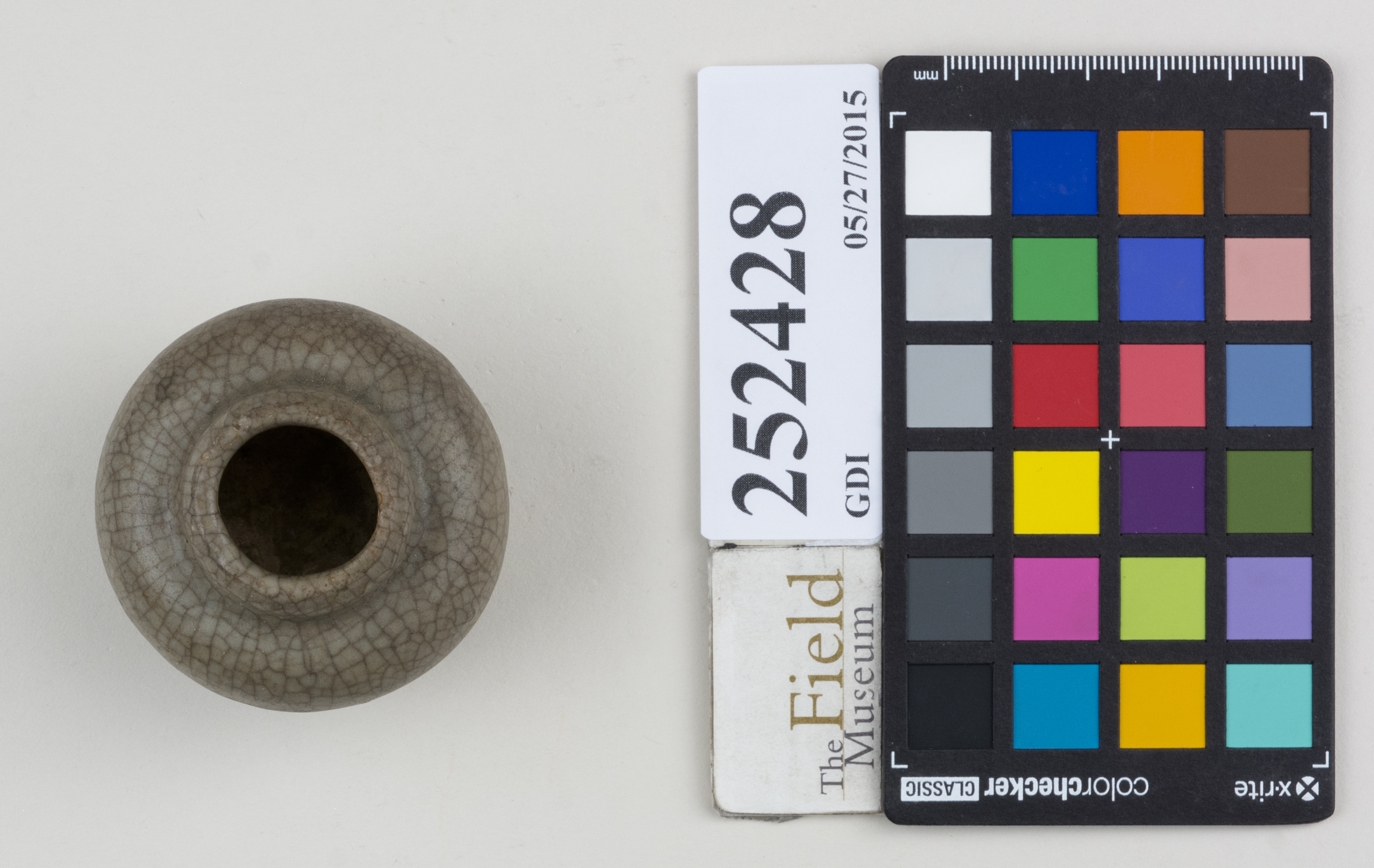 Top (c) Field Museum of Natural History - CC BY-NC 4.0